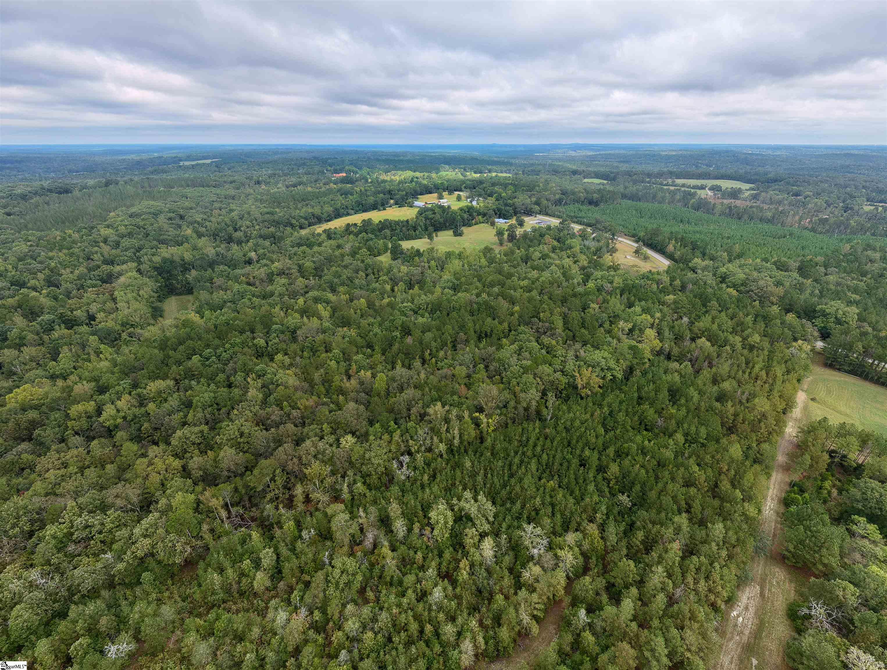 9816 Neely Ferry Road Property Photo 5