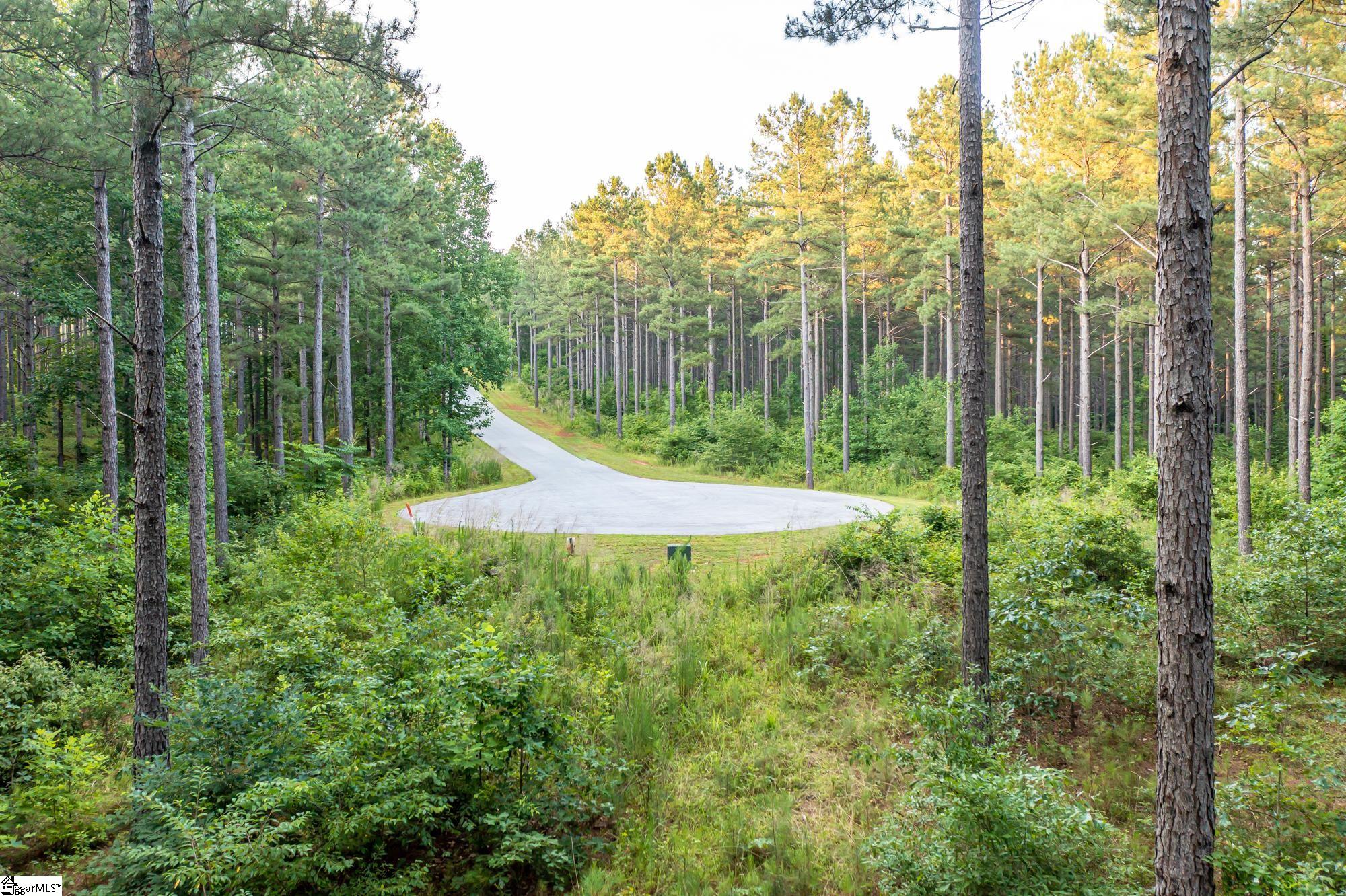 0 High Pines Drive Property Photo 6