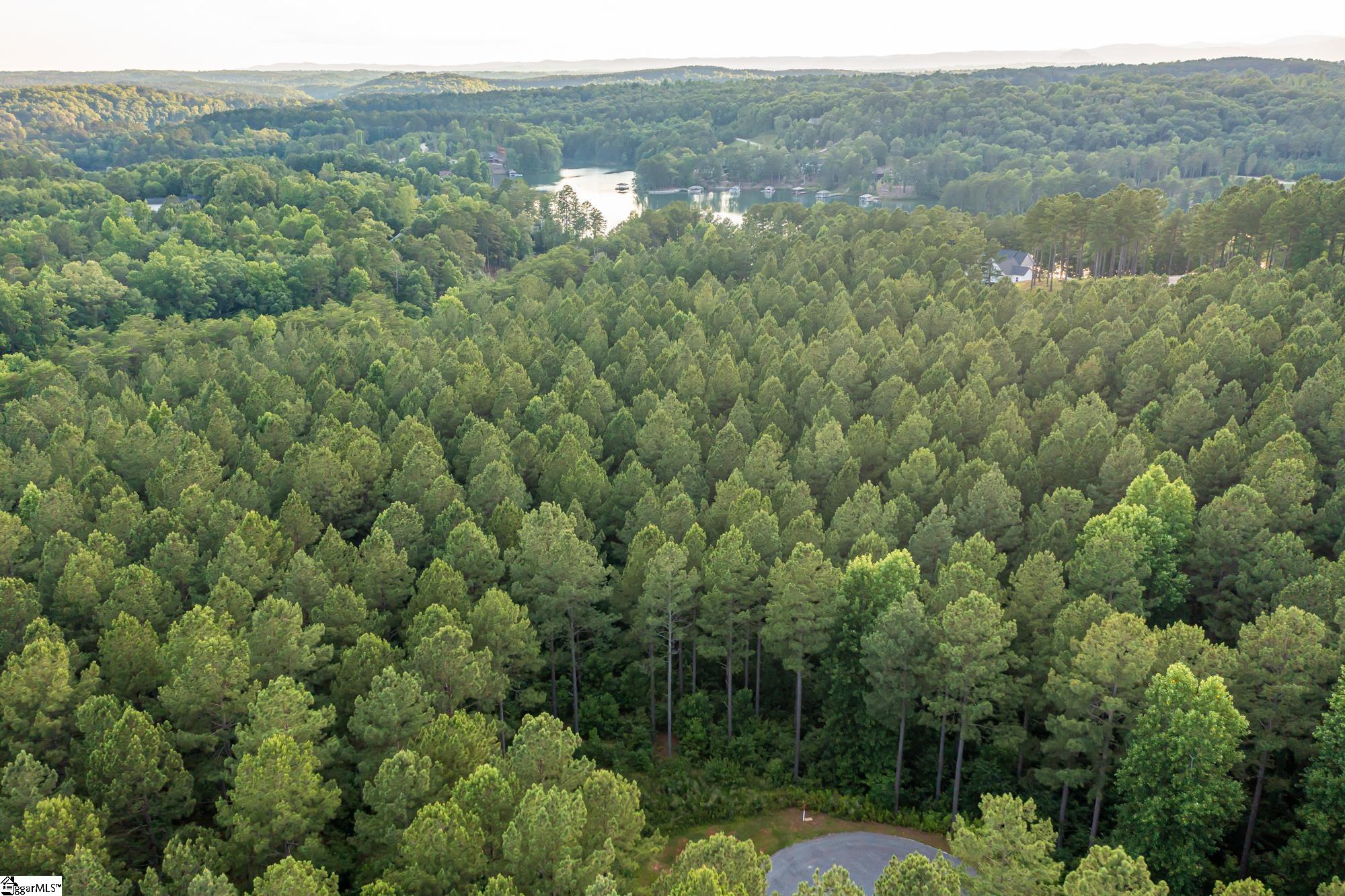 0 High Pines Drive Property Photo 10