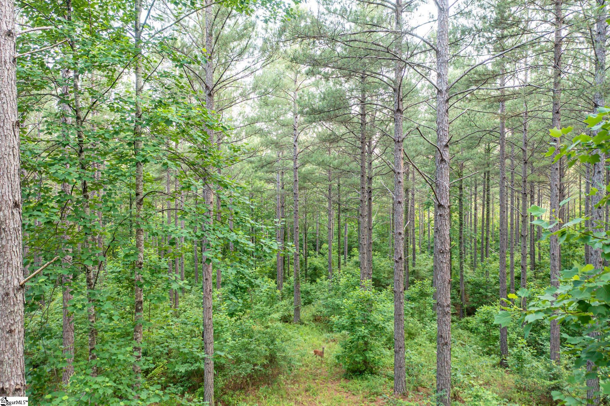 0 High Pines Drive Property Photo 11