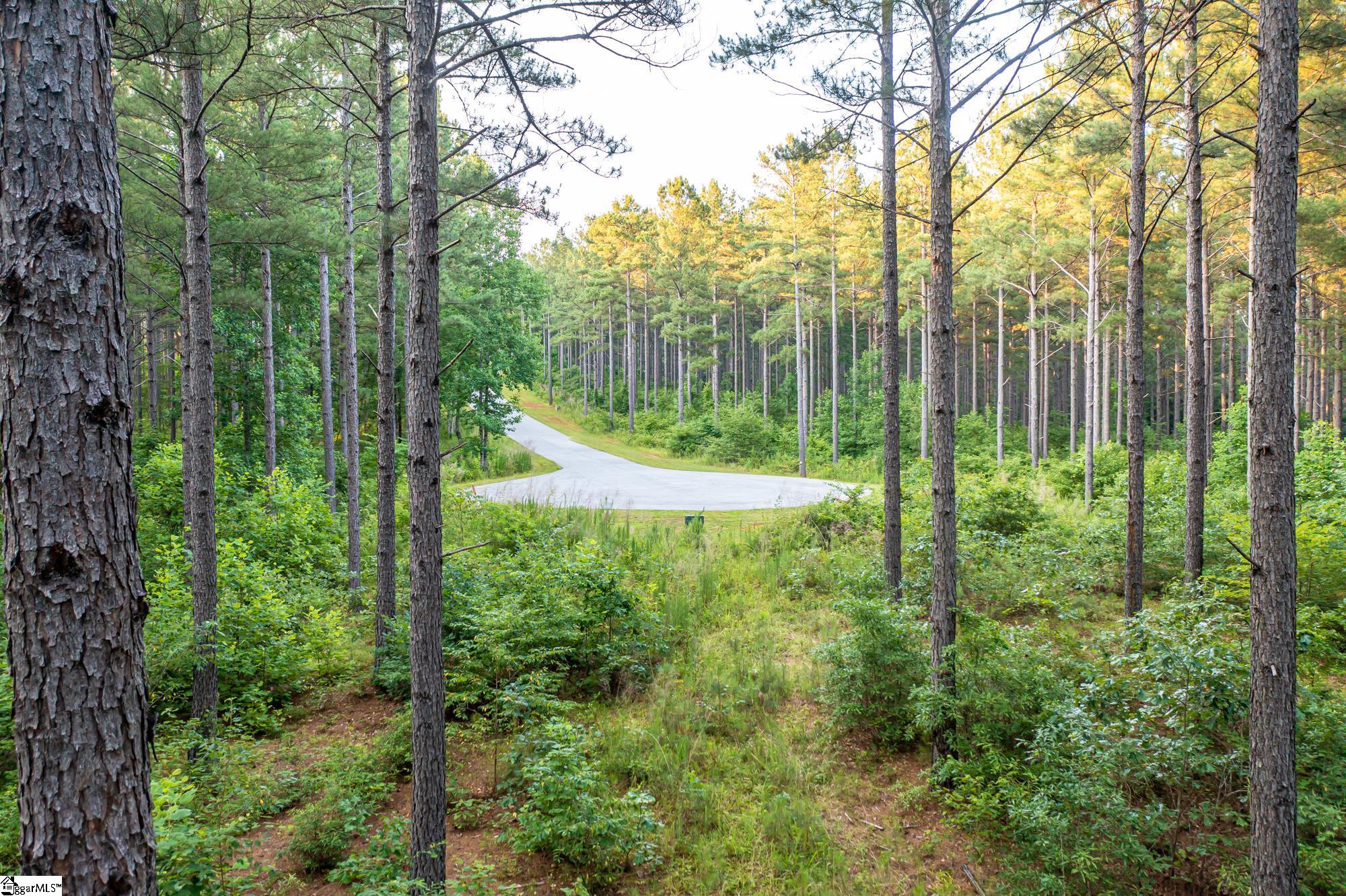 0 High Pines Drive Property Photo 12