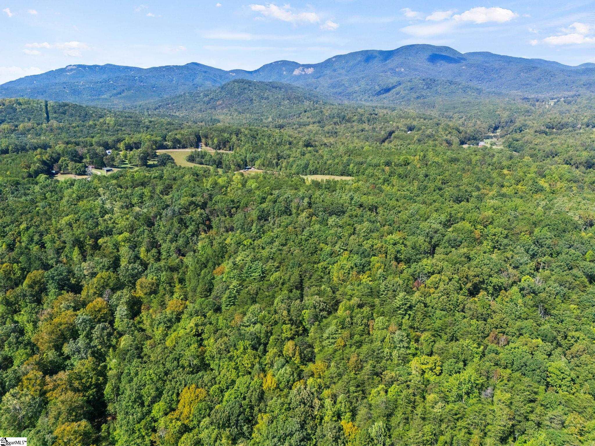 313 Arledge Road Property Photo 3