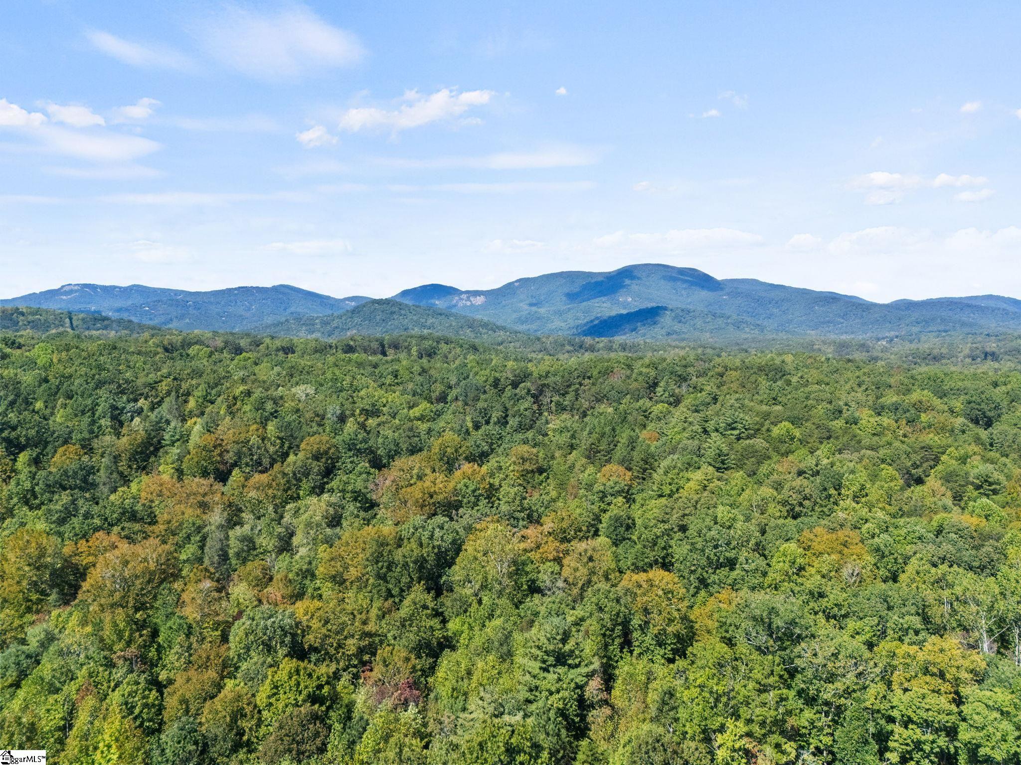 313 Arledge Road Property Photo 4