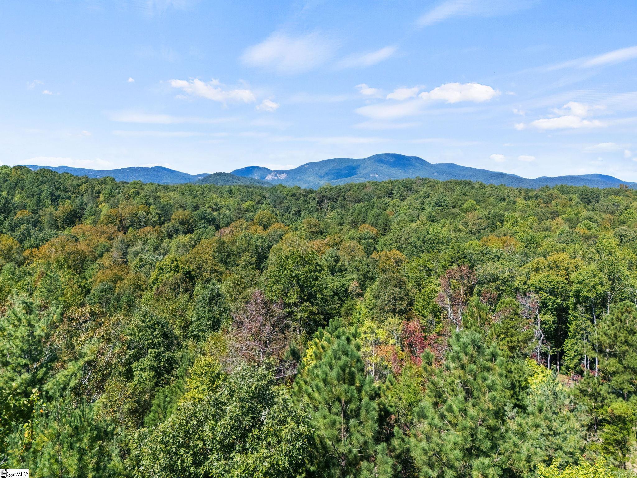 313 Arledge Road Property Photo 5