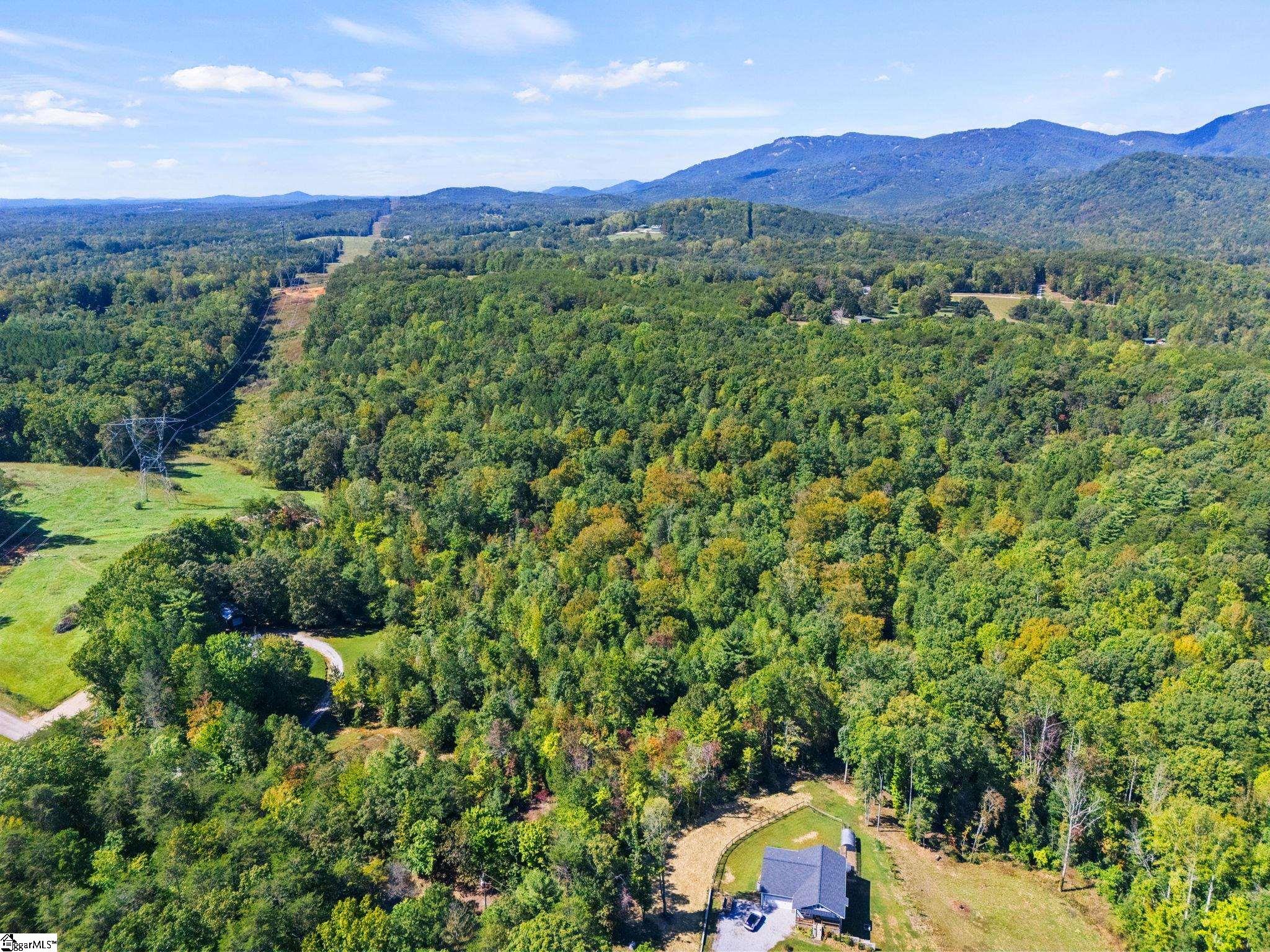 313 Arledge Road Property Photo 6