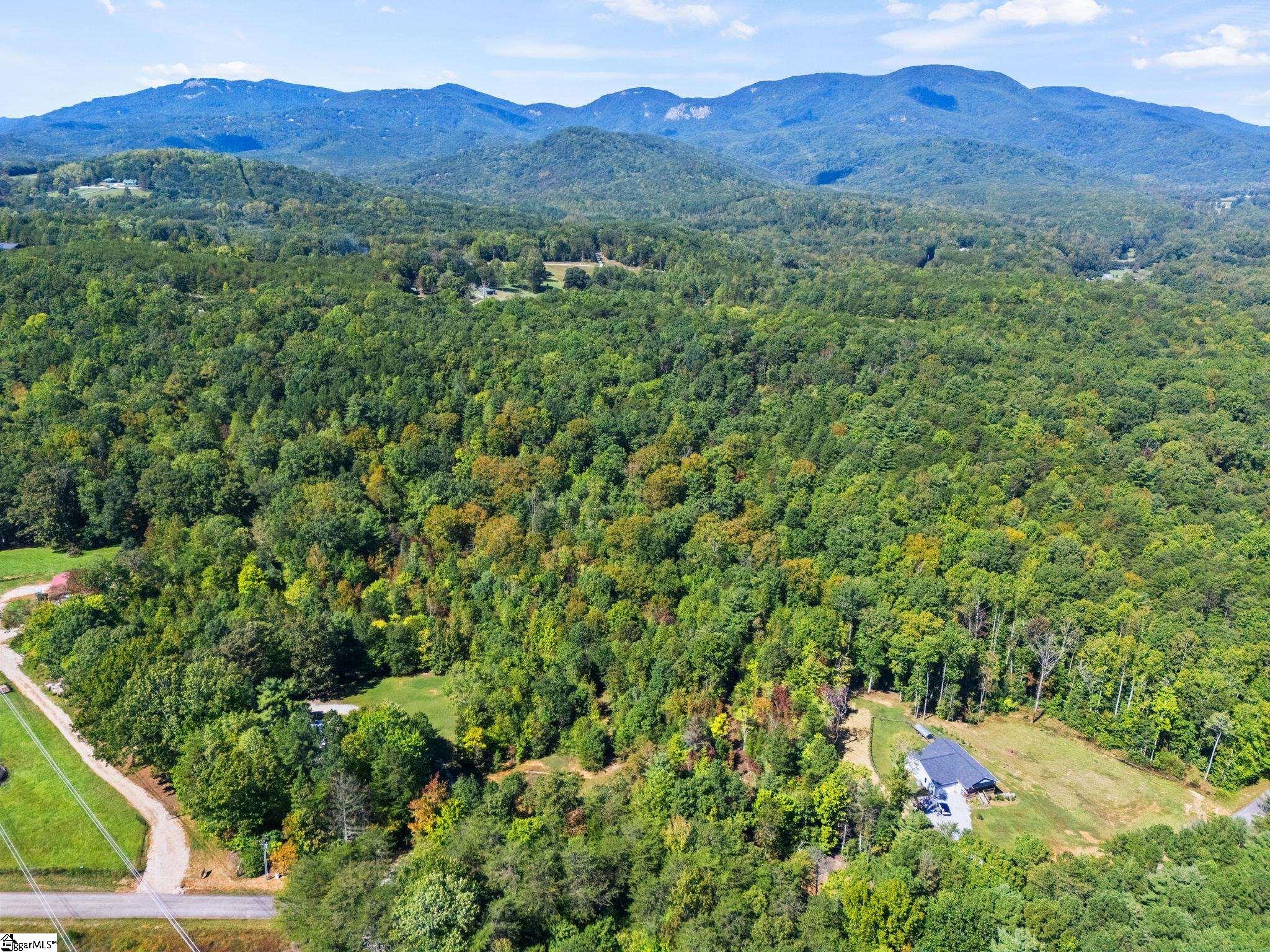 313 Arledge Road Property Photo 9