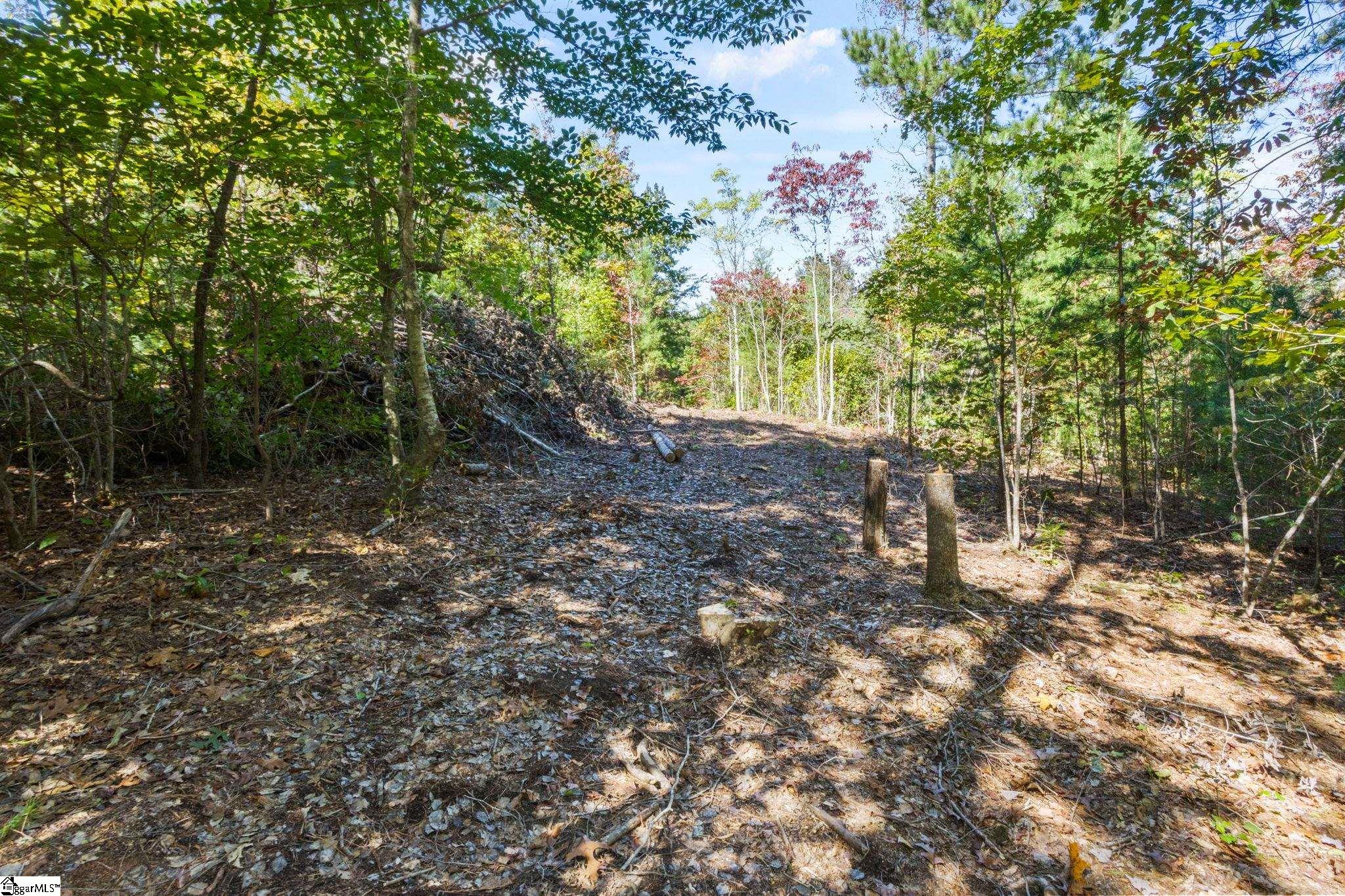 313 Arledge Road Property Photo 17