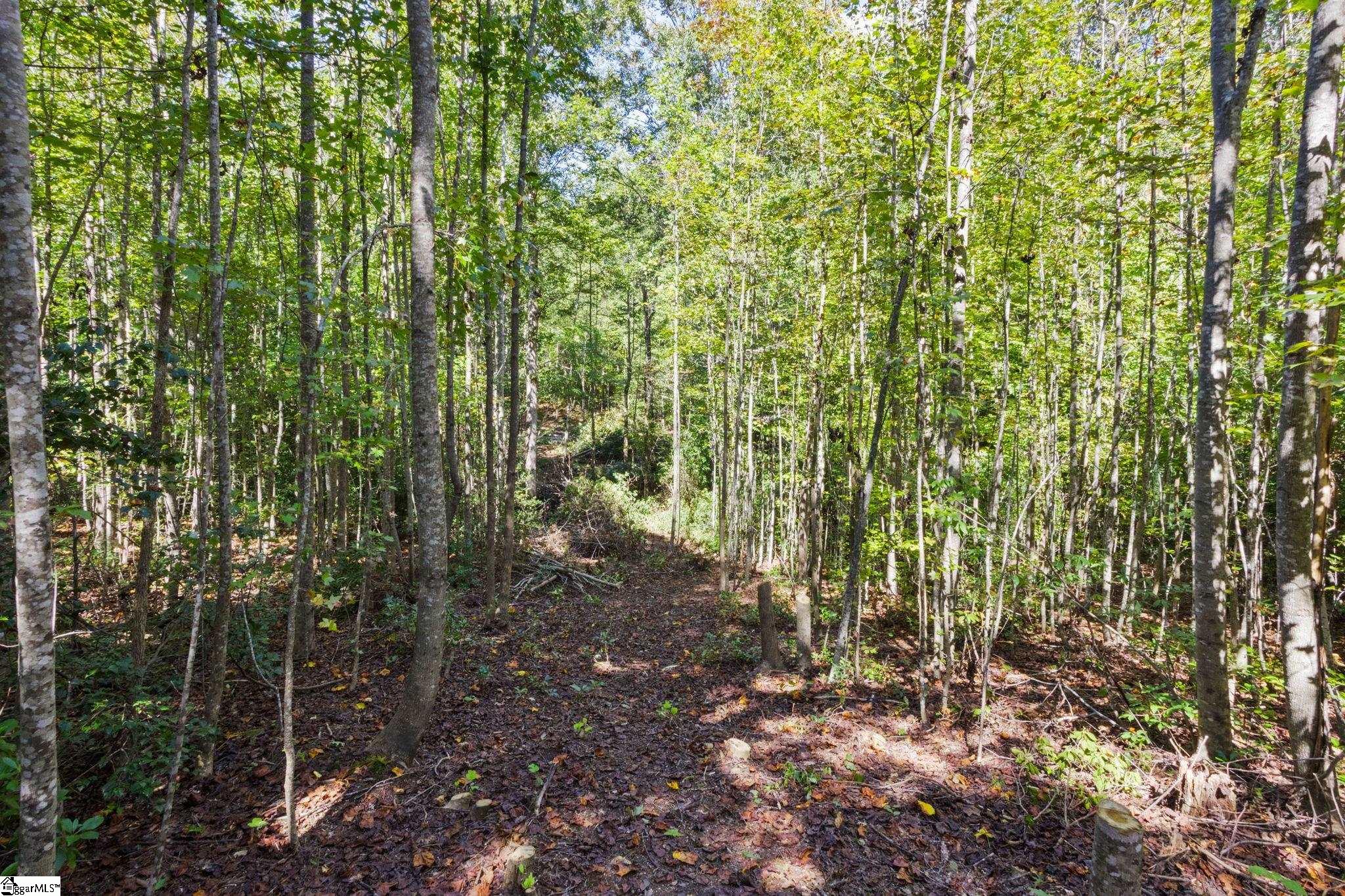 313 Arledge Road Property Photo 19