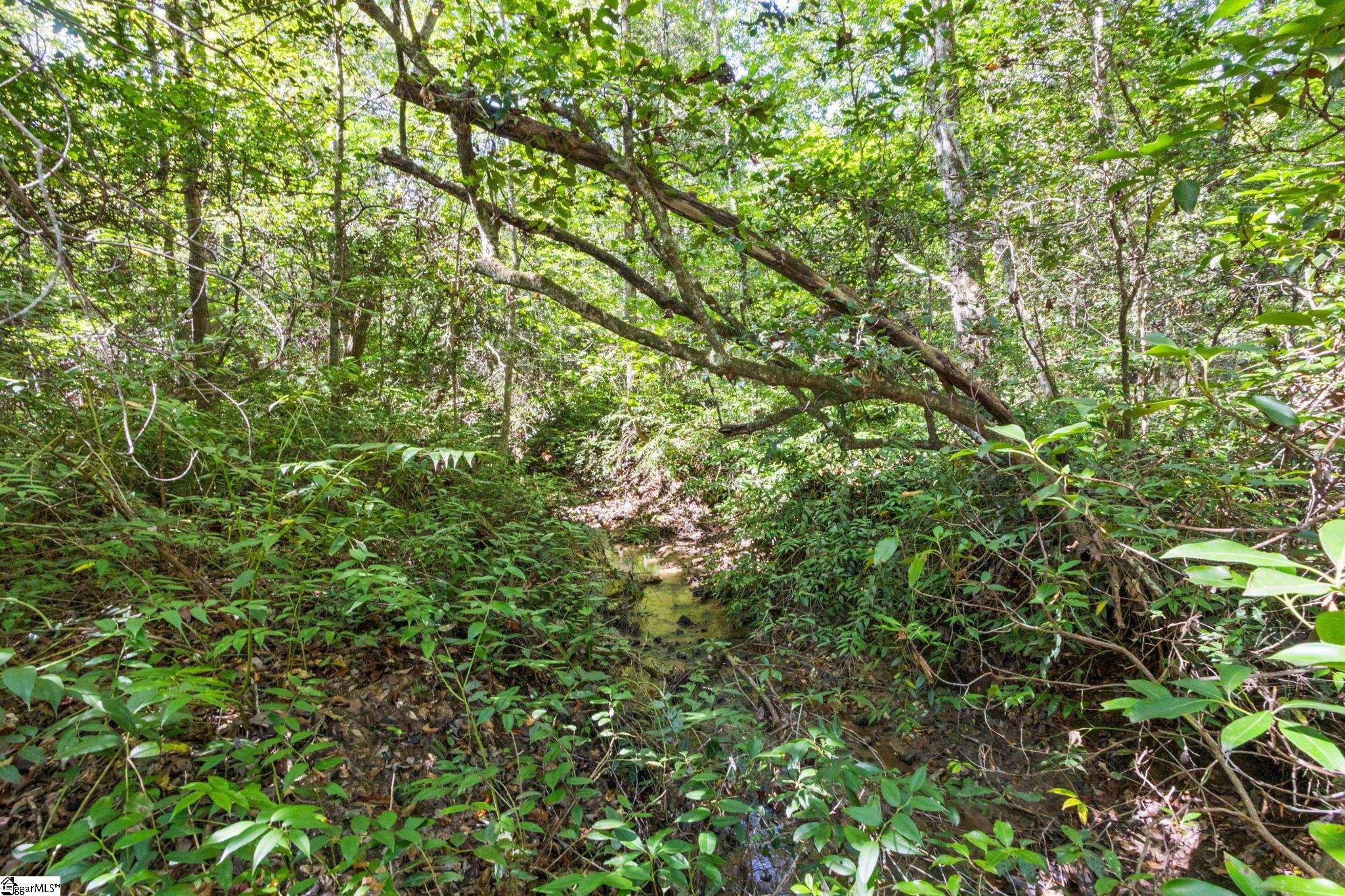 313 Arledge Road Property Photo 20