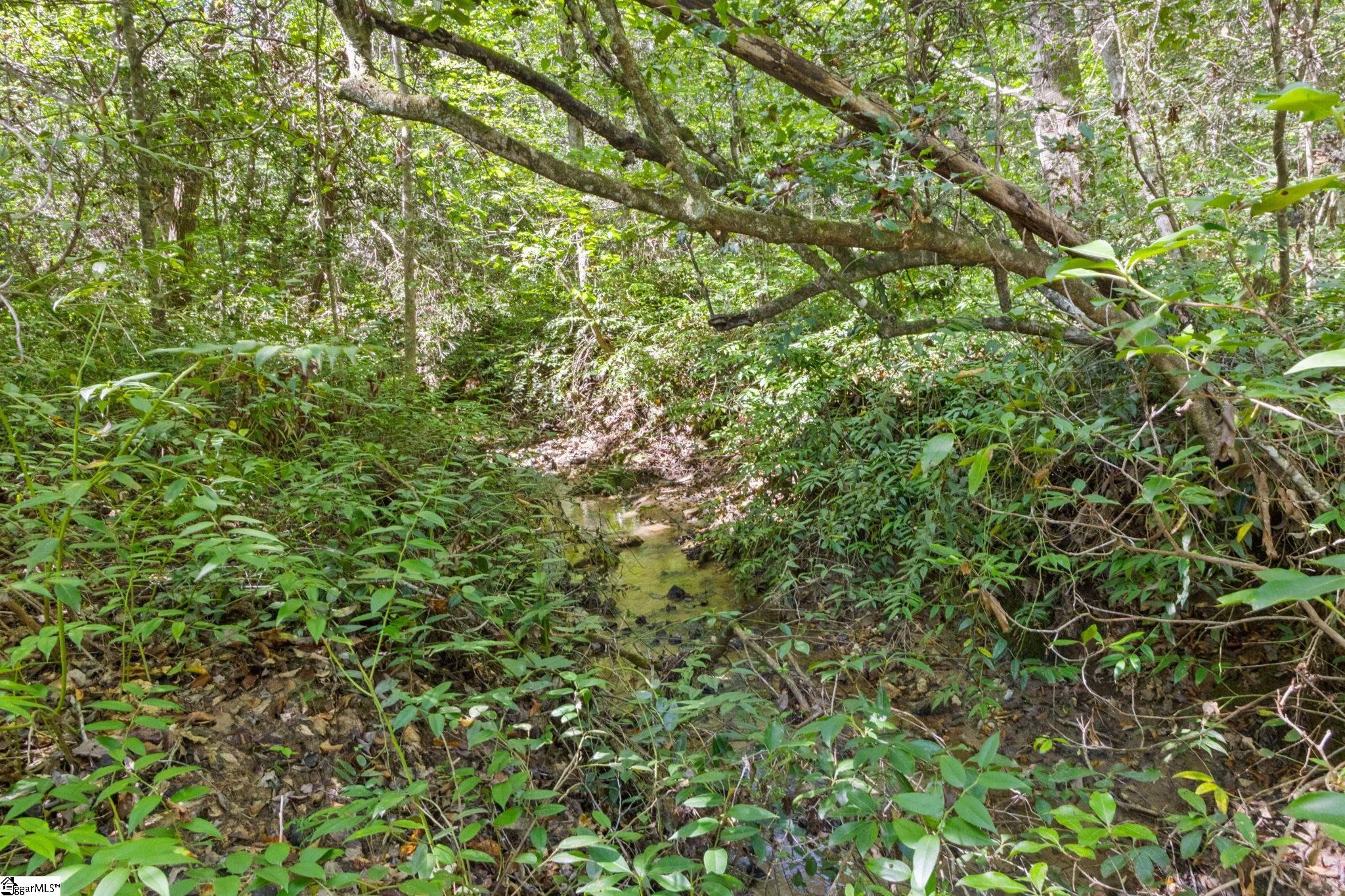 313 Arledge Road Property Photo 21