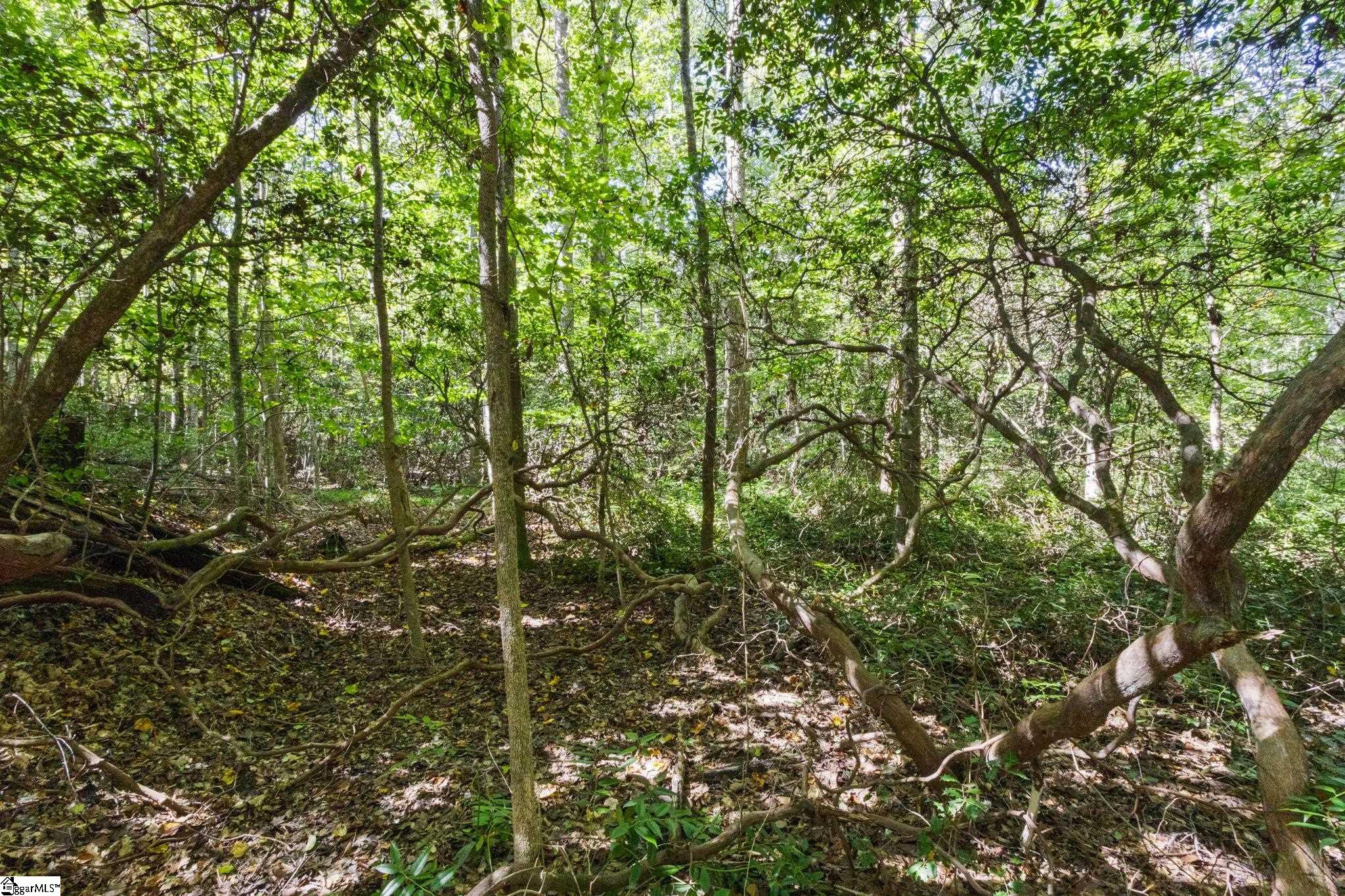 313 Arledge Road Property Photo 22