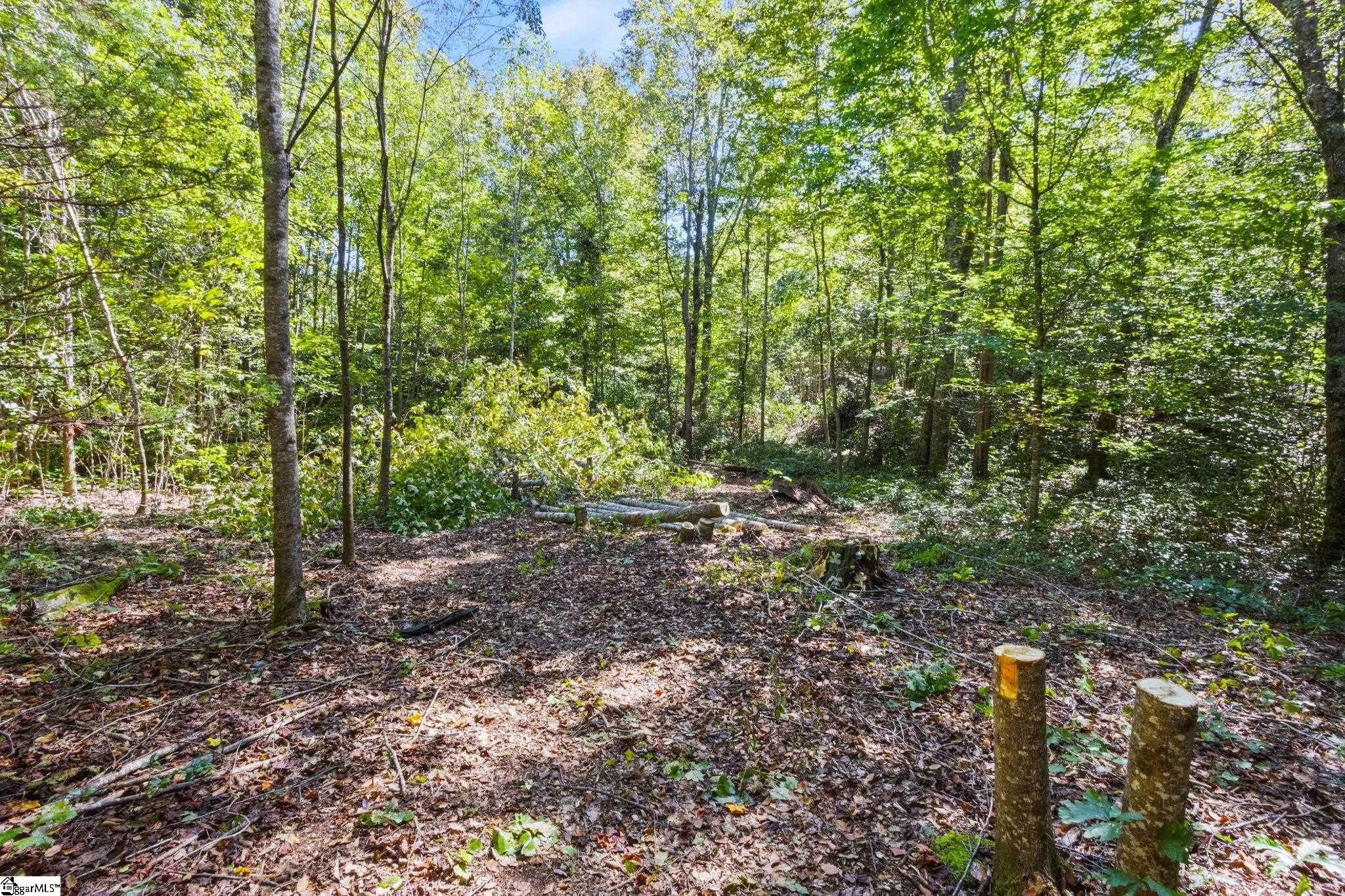 313 Arledge Road Property Photo 24