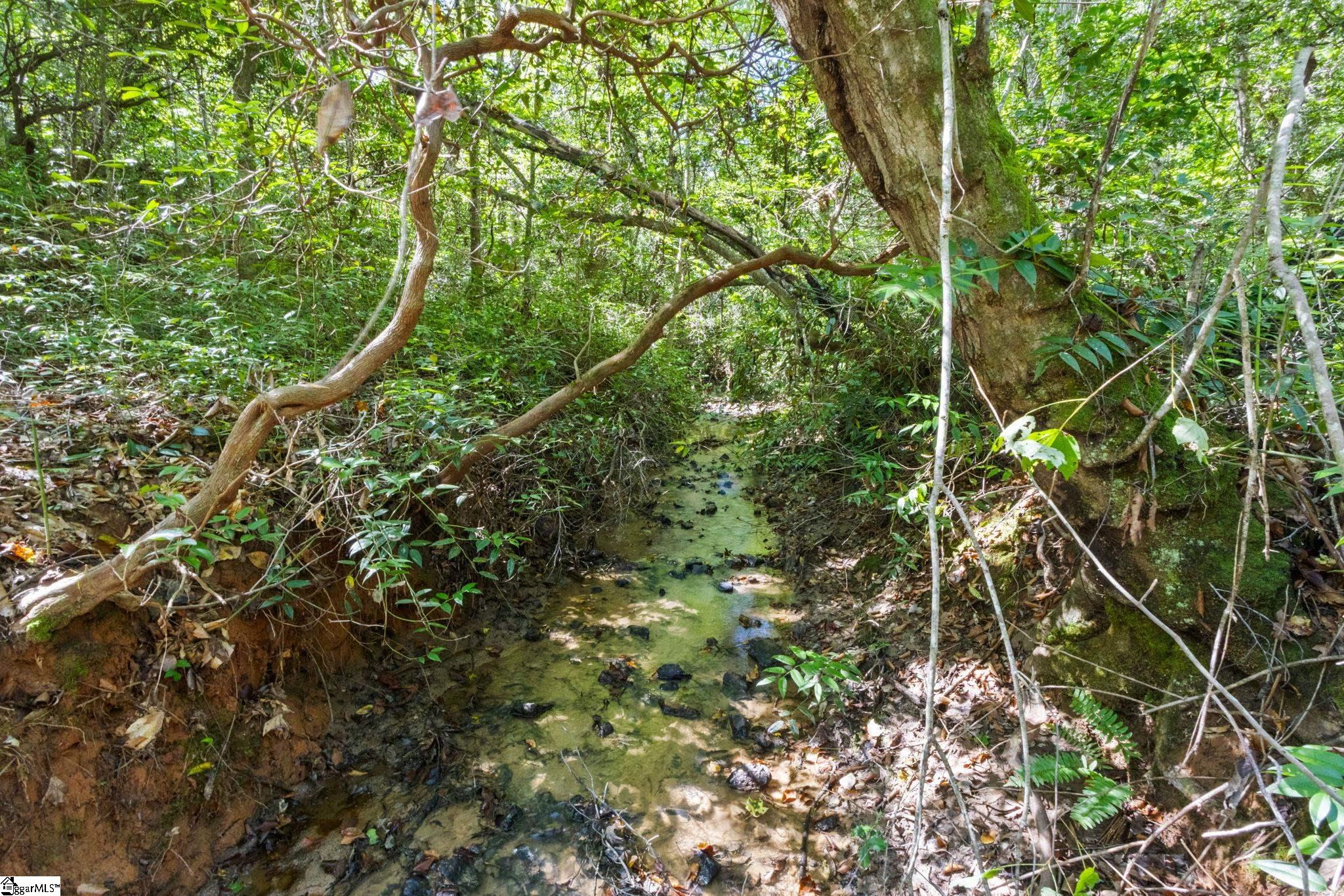 313 Arledge Road Property Photo 25