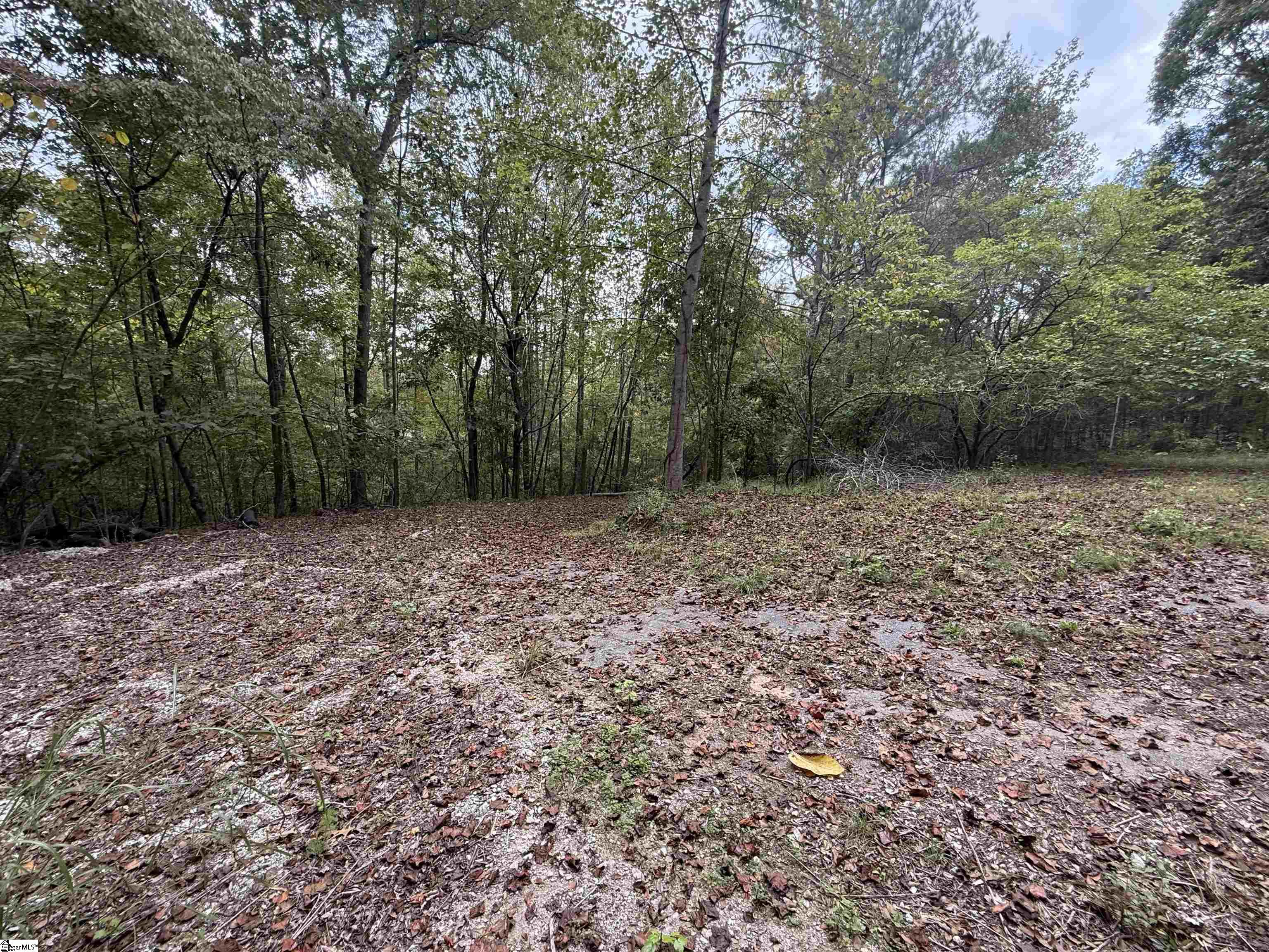 9000 U.s. 221 Highway Property Photo 2