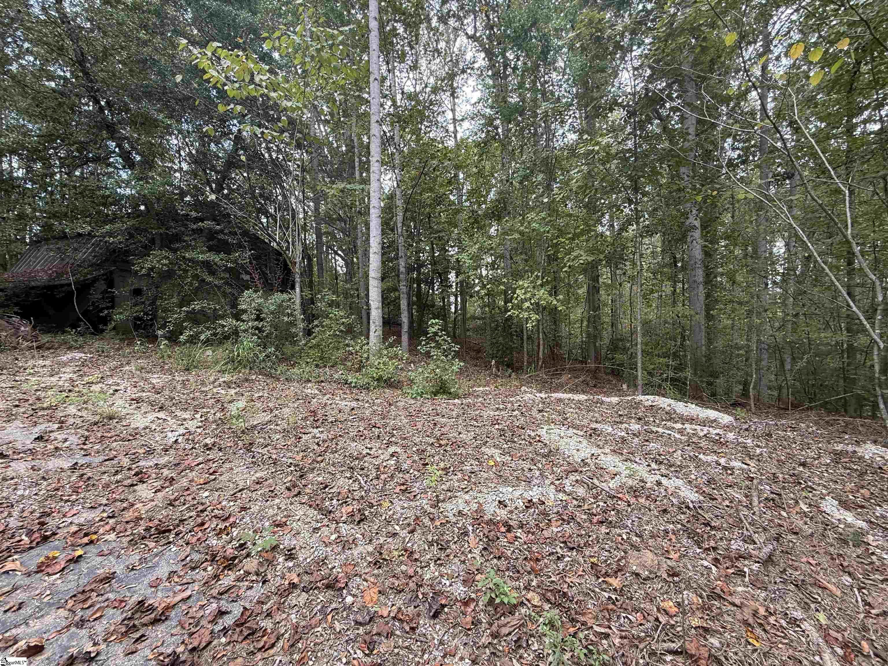 9000 U.s. 221 Highway Property Photo 4