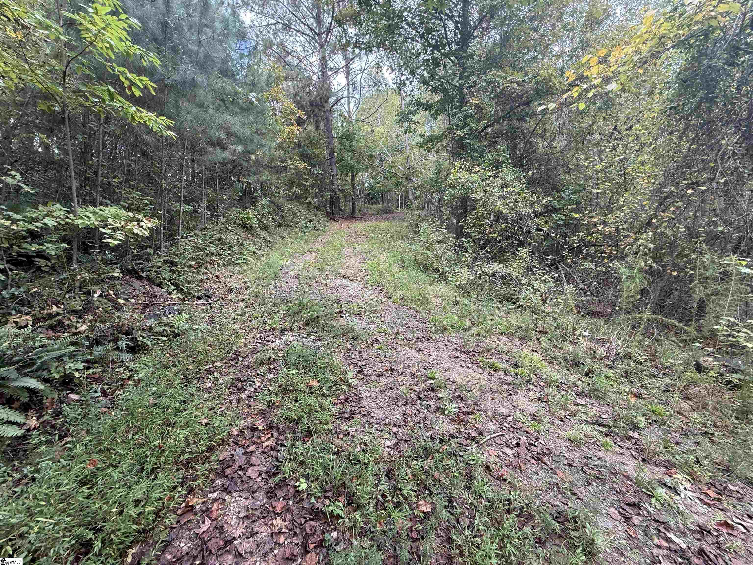 9000 U.s. 221 Highway Property Photo 5