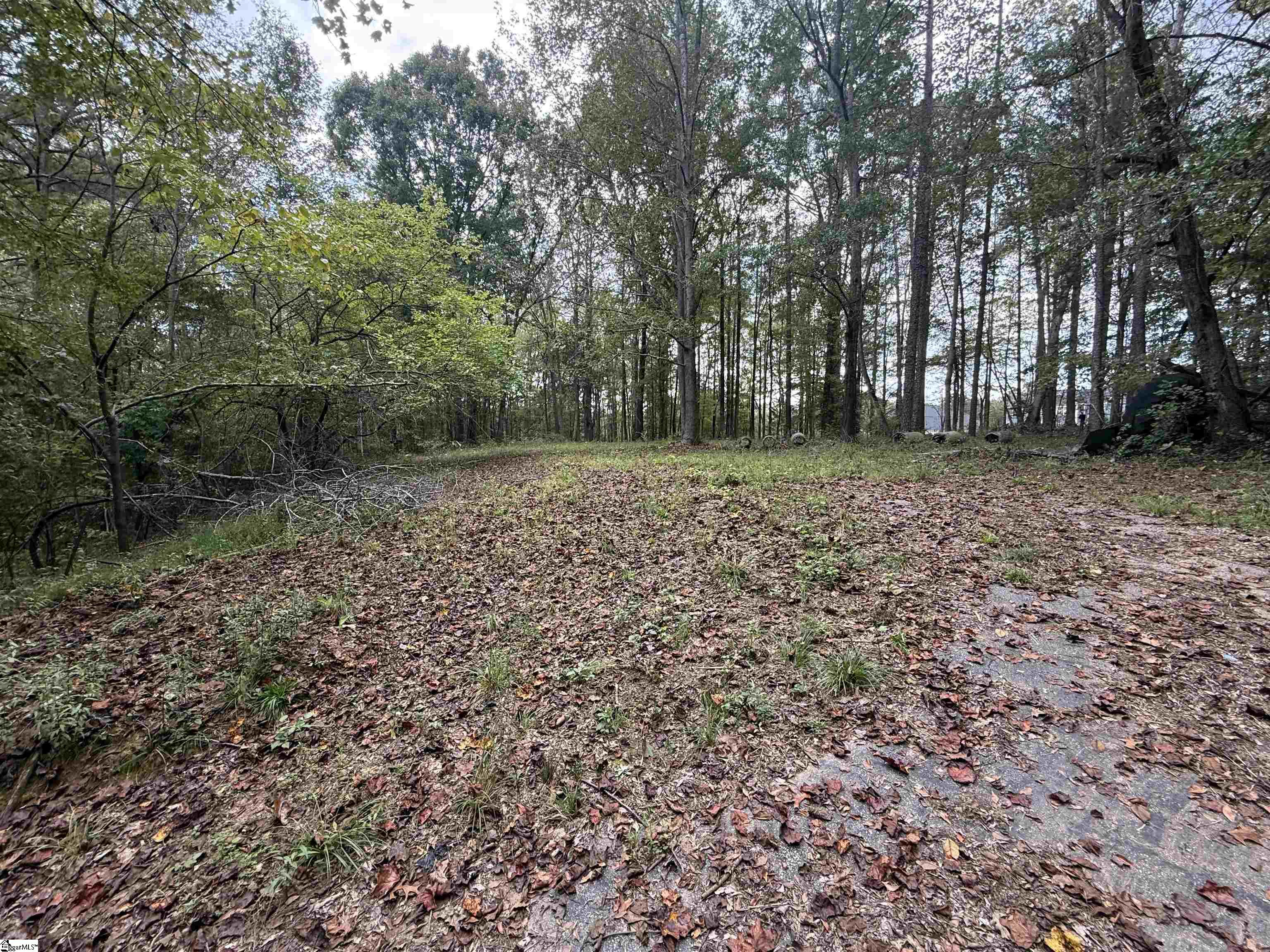 9000 U.s. 221 Highway Property Photo 6