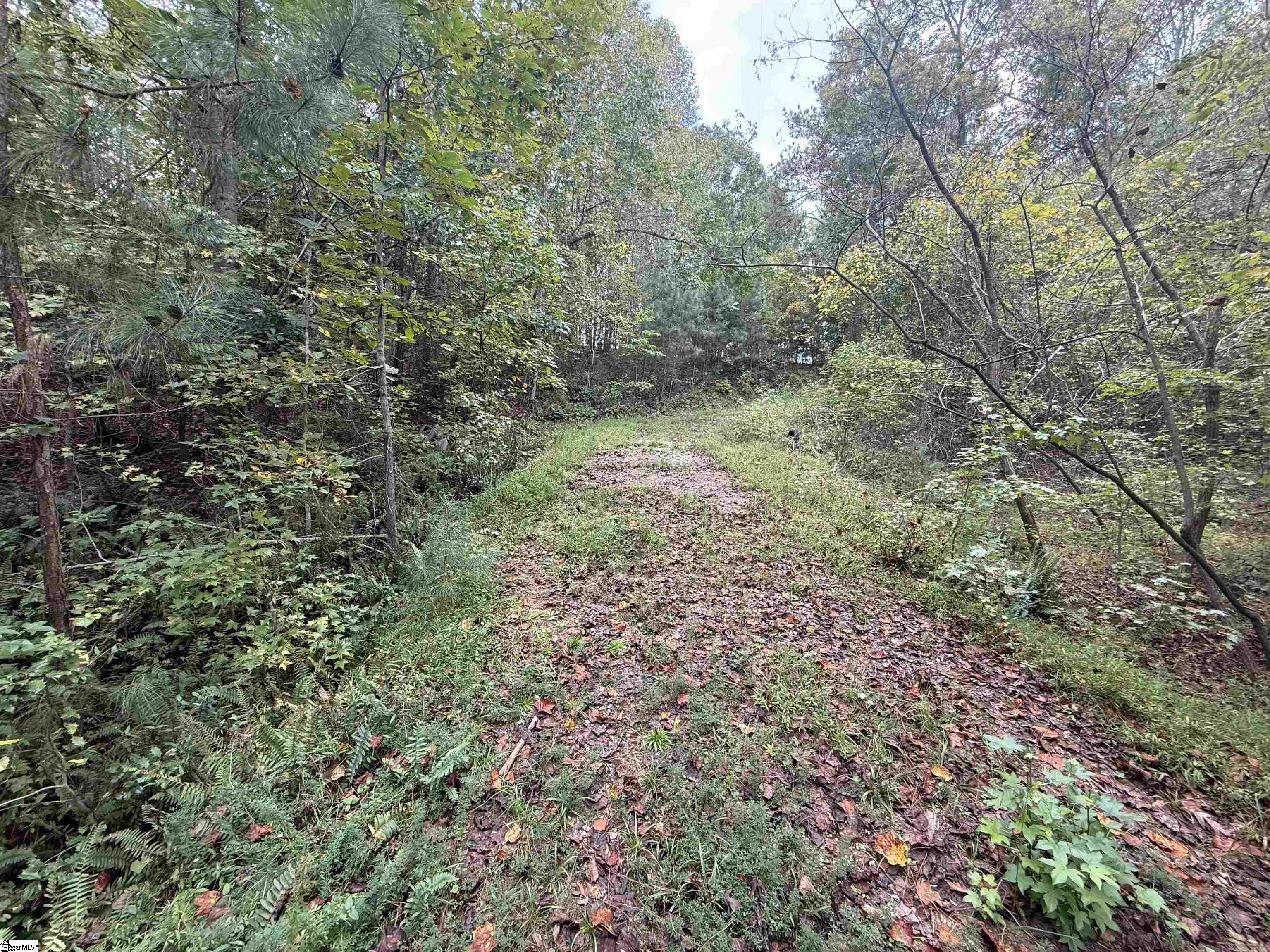 9000 U.s. 221 Highway Property Photo 8