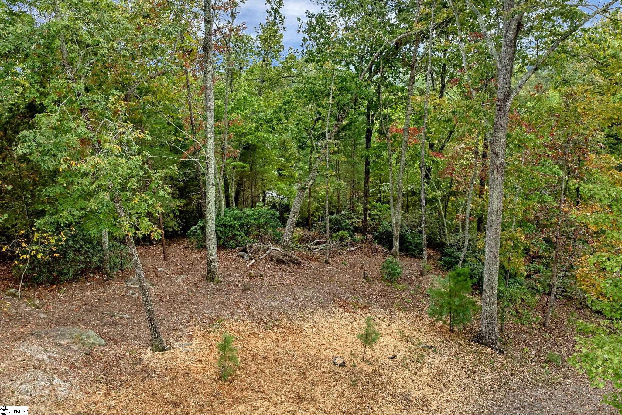 435 Augusta Links Trail Property Photo 2