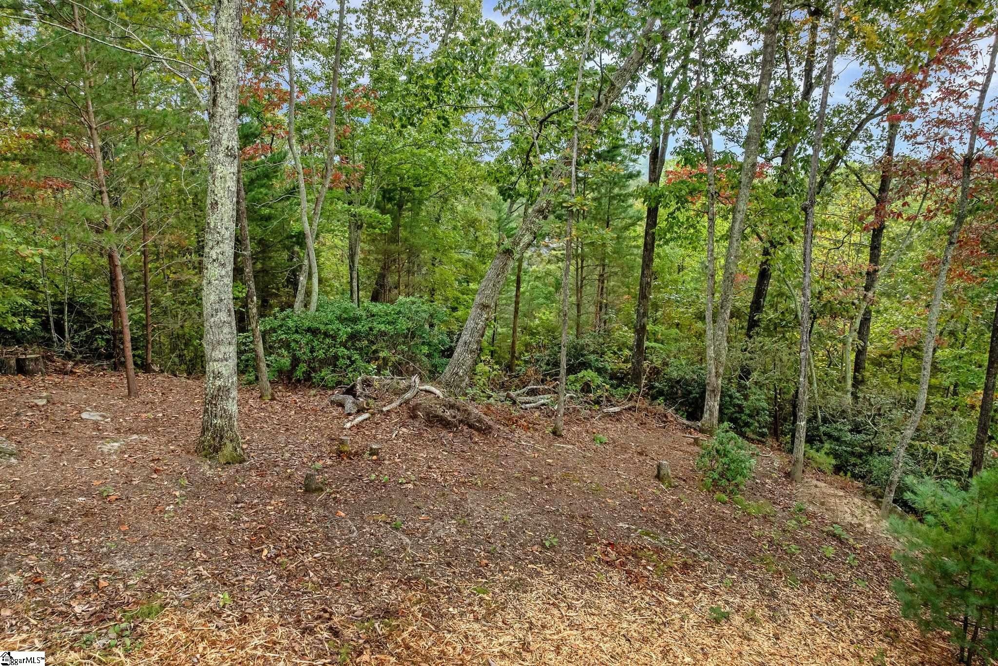 435 Augusta Links Trail Property Photo 3