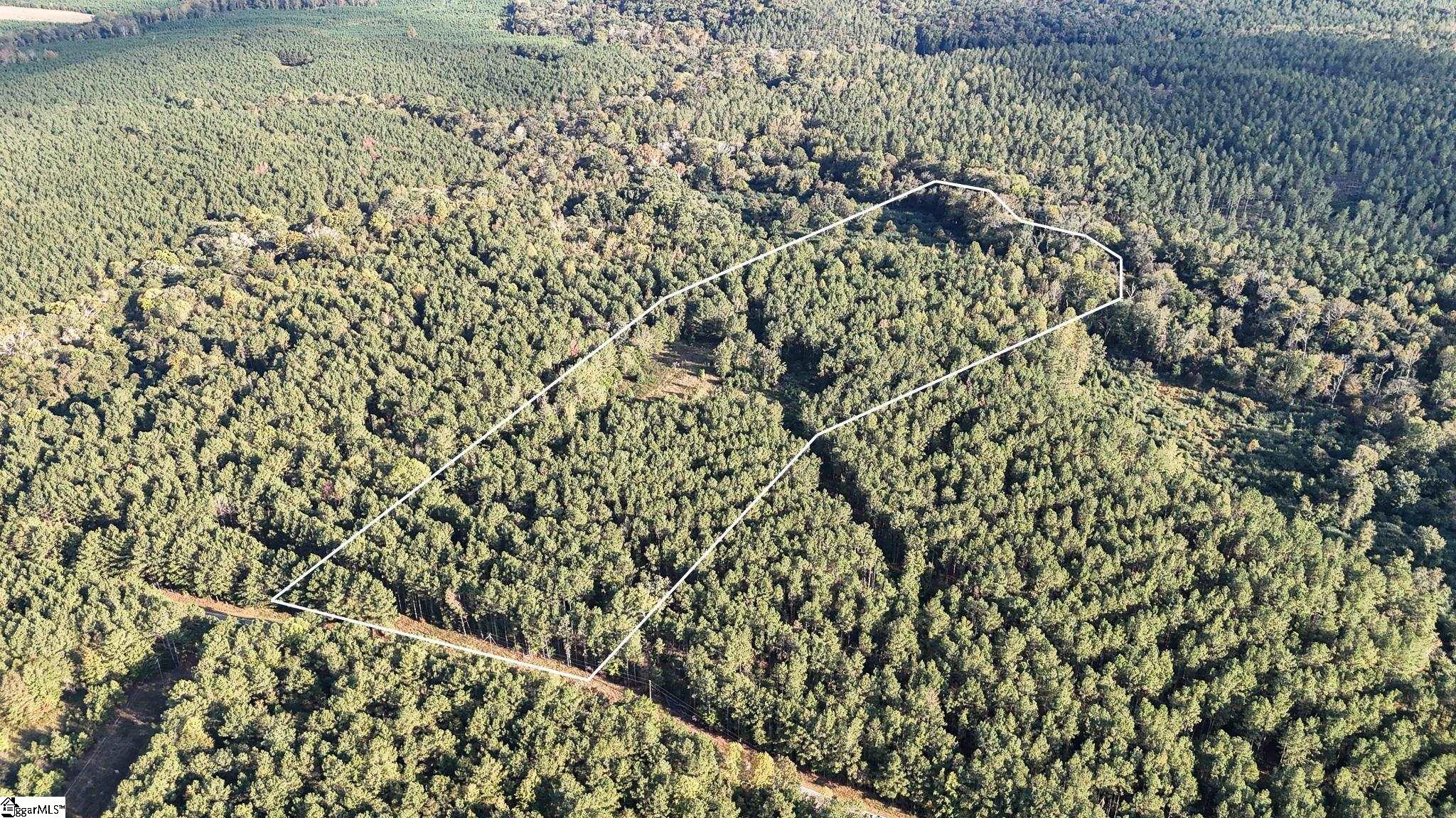 02 Jefferson Davis Road Property Photo 2