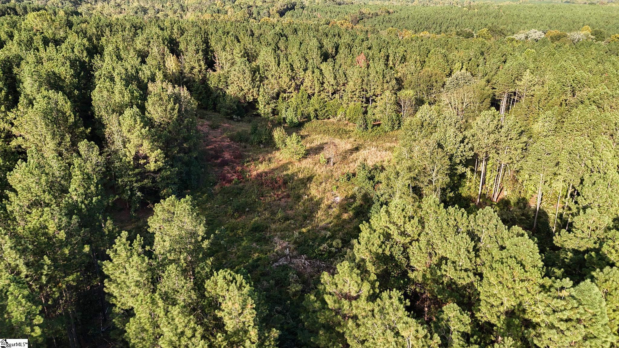 02 Jefferson Davis Road Property Photo 3