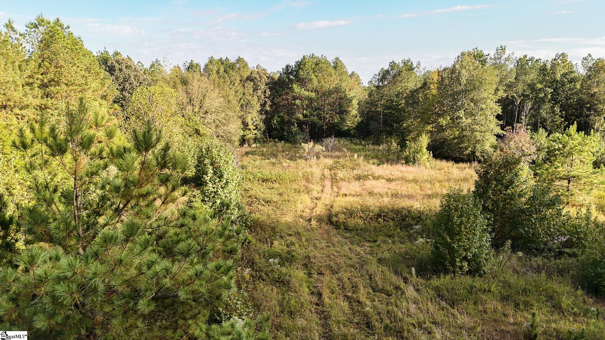 02 Jefferson Davis Road Property Photo 4