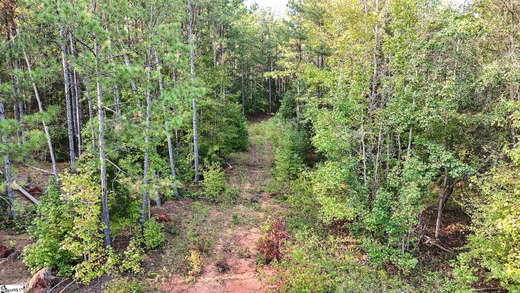 02 Jefferson Davis Road Property Photo 5