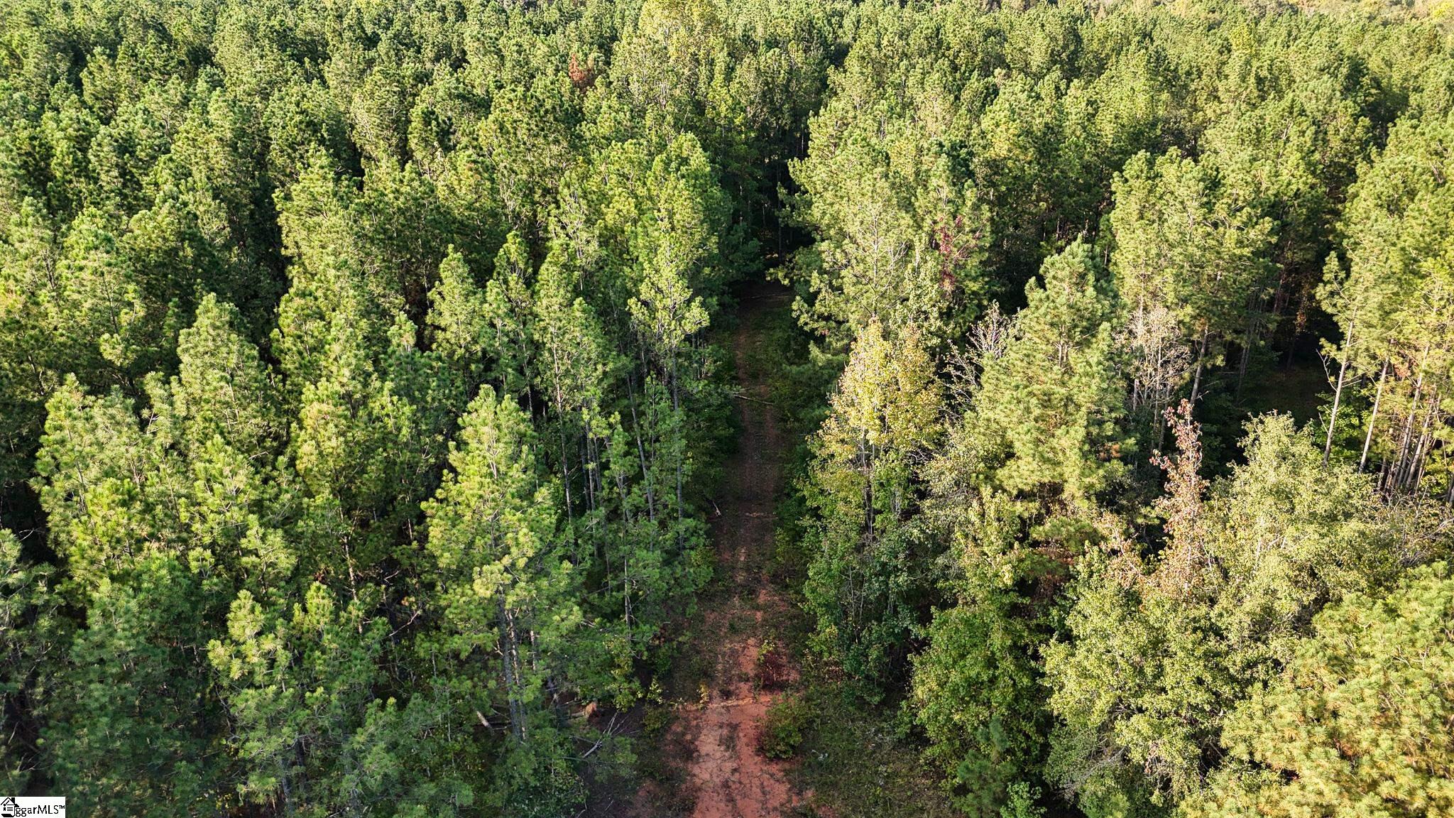 02 Jefferson Davis Road Property Photo 7