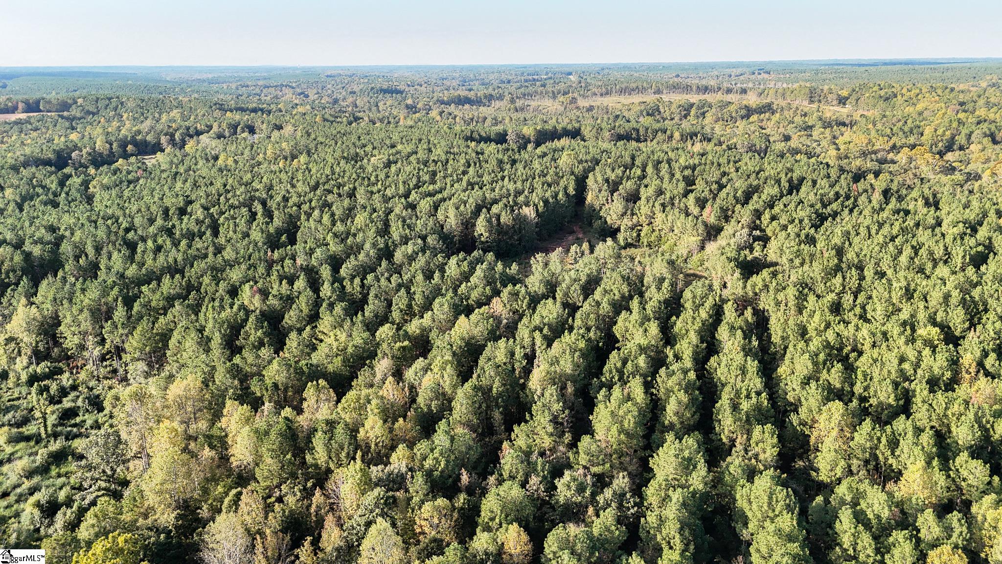 02 Jefferson Davis Road Property Photo 8