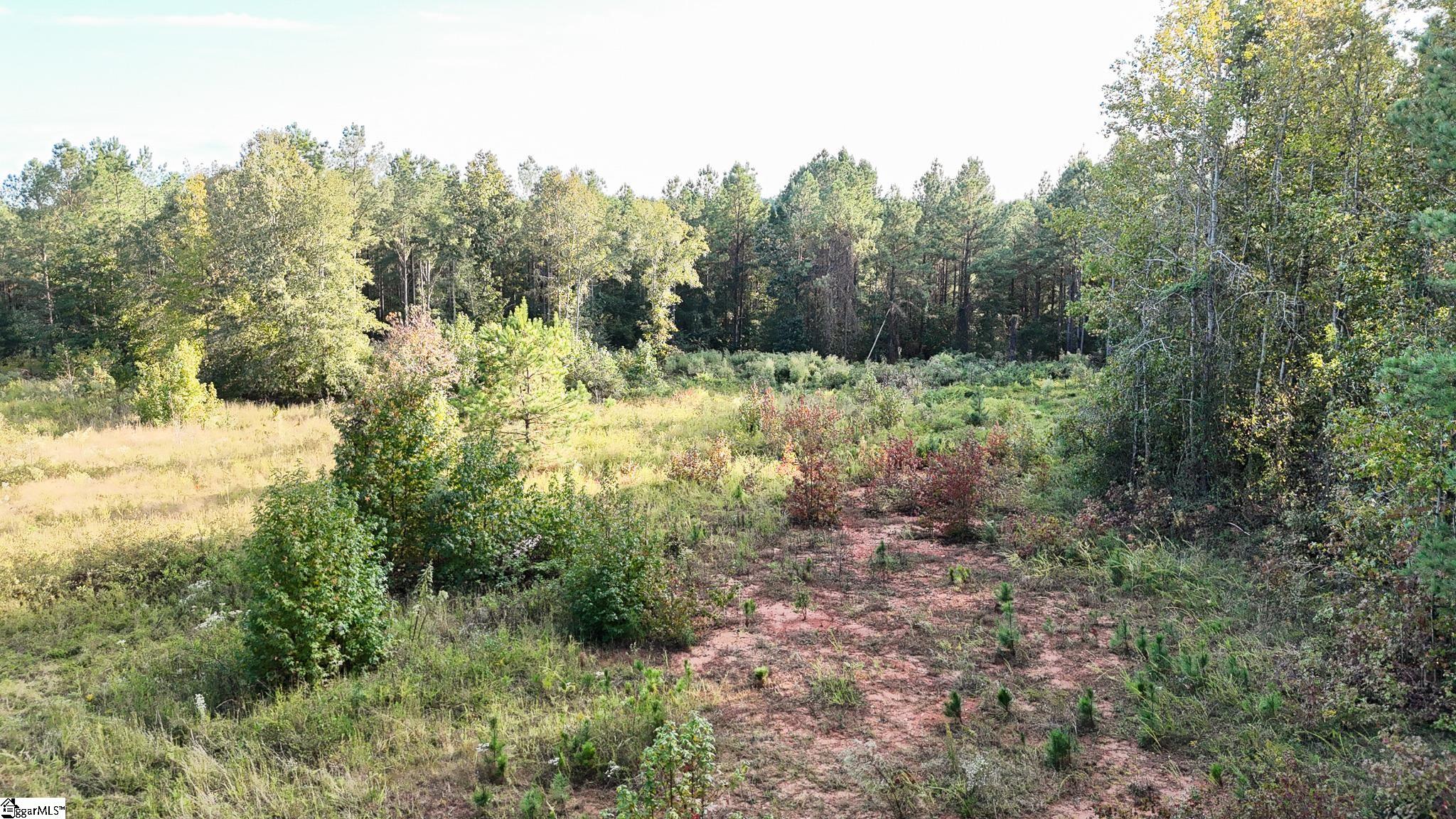 02 Jefferson Davis Road Property Photo 9