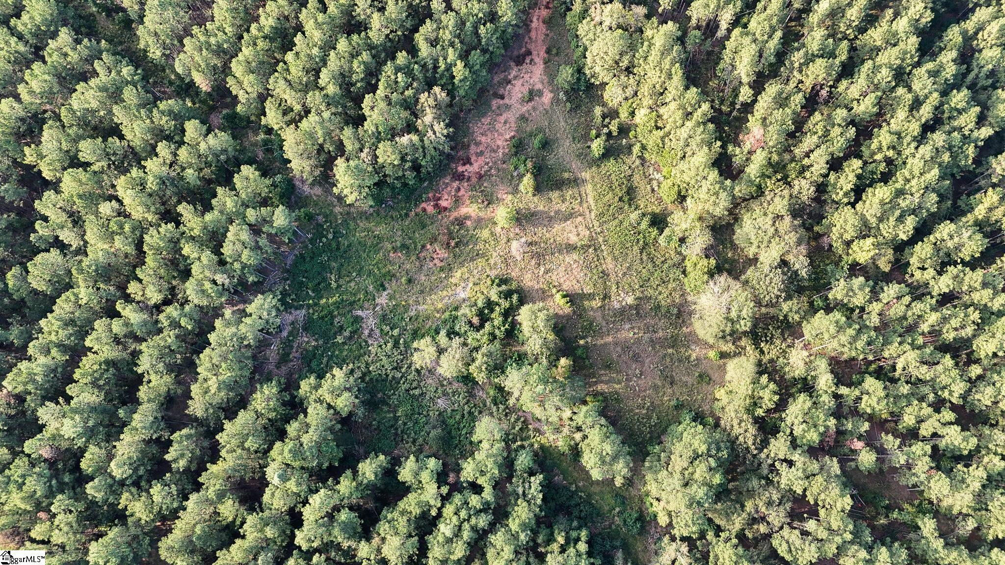 02 Jefferson Davis Road Property Photo 10