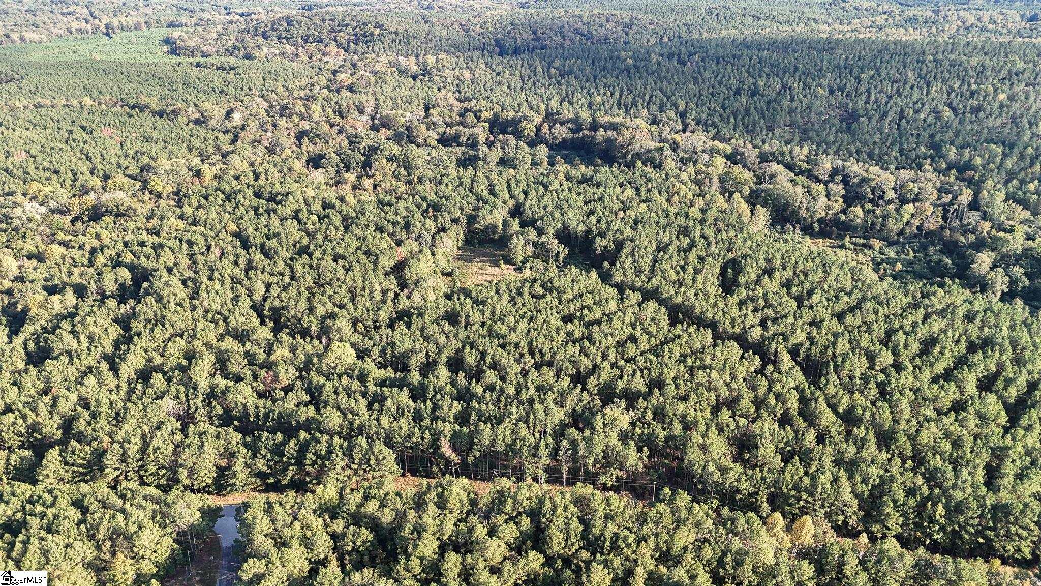 02 Jefferson Davis Road Property Photo 11