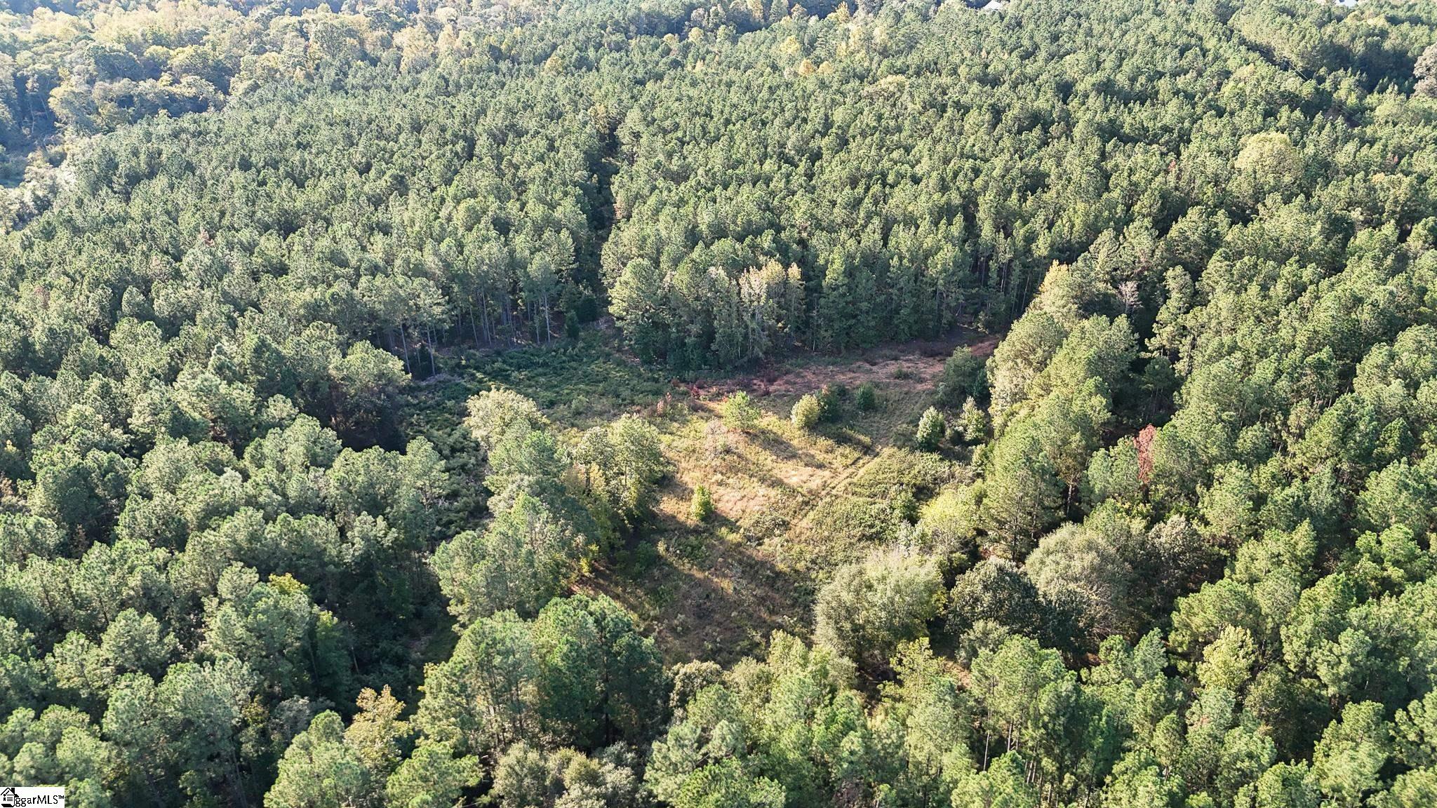 02 Jefferson Davis Road Property Photo 13