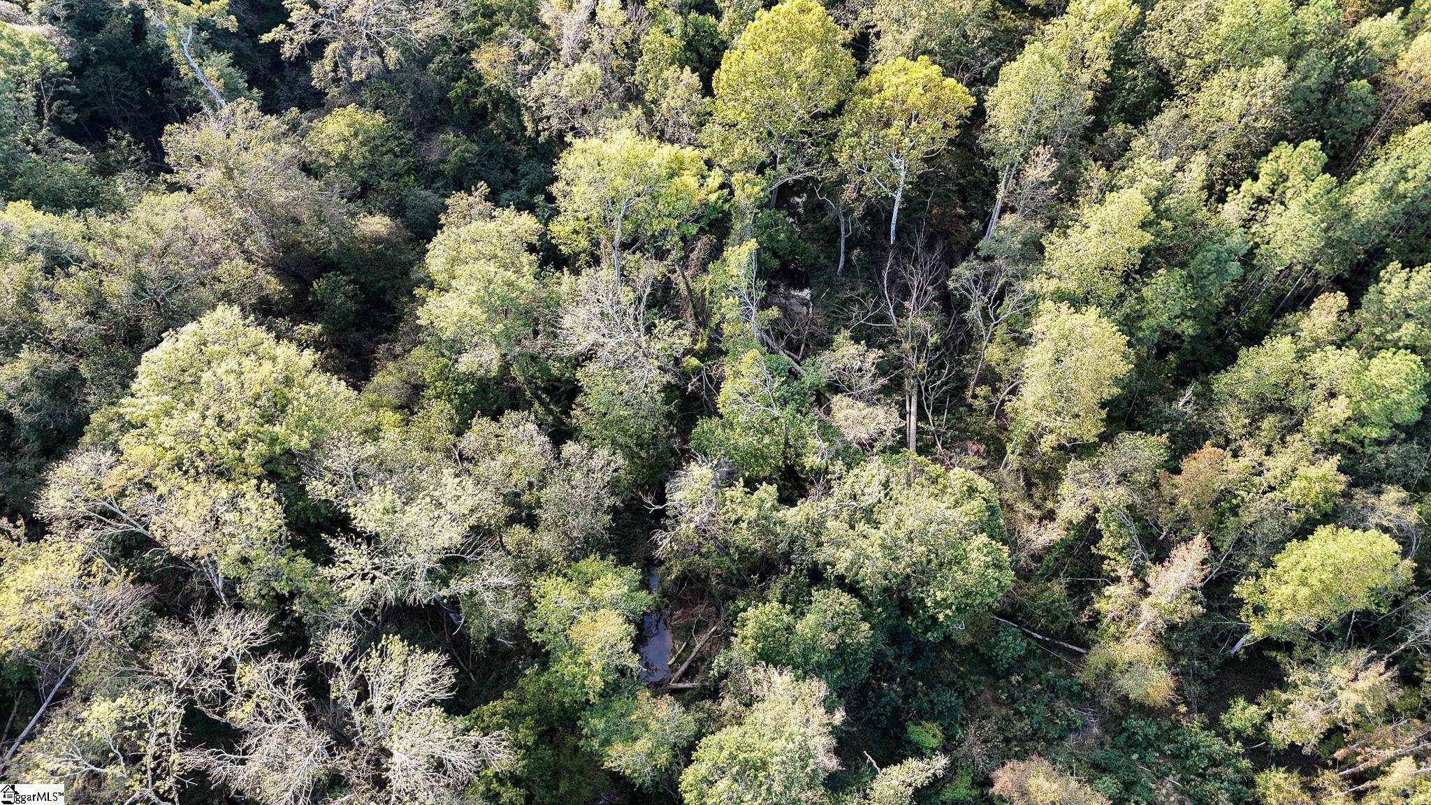 02 Jefferson Davis Road Property Photo 14