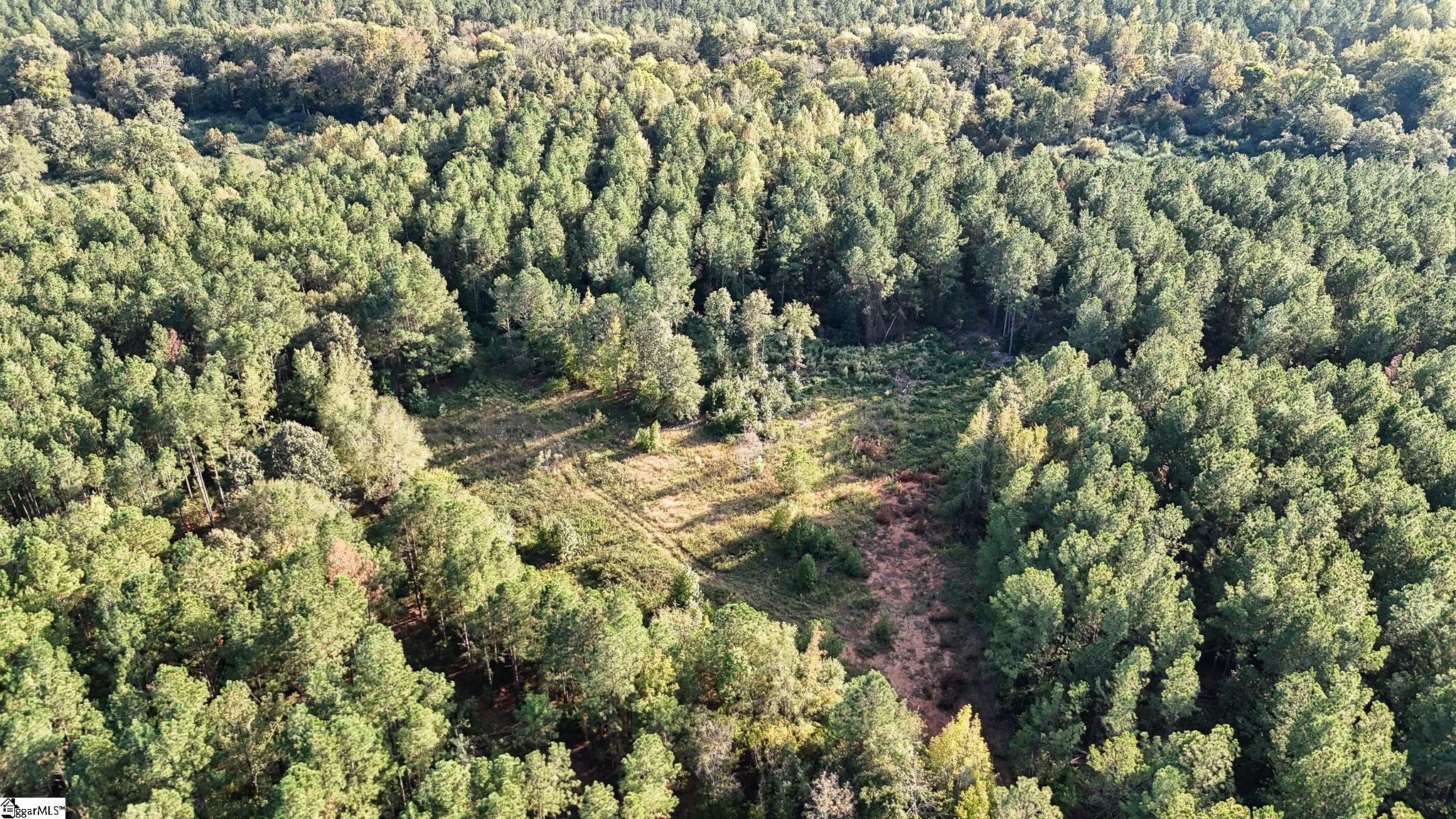 02 Jefferson Davis Road Property Photo 15