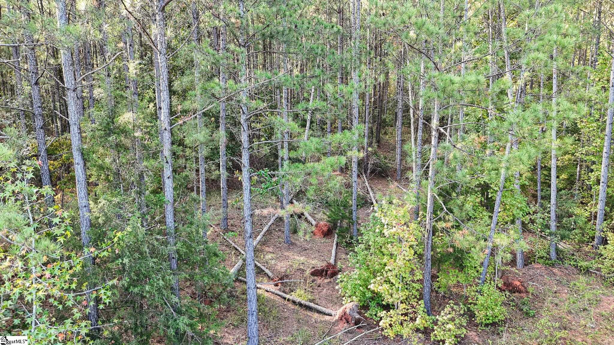 02 Jefferson Davis Road Property Photo 16