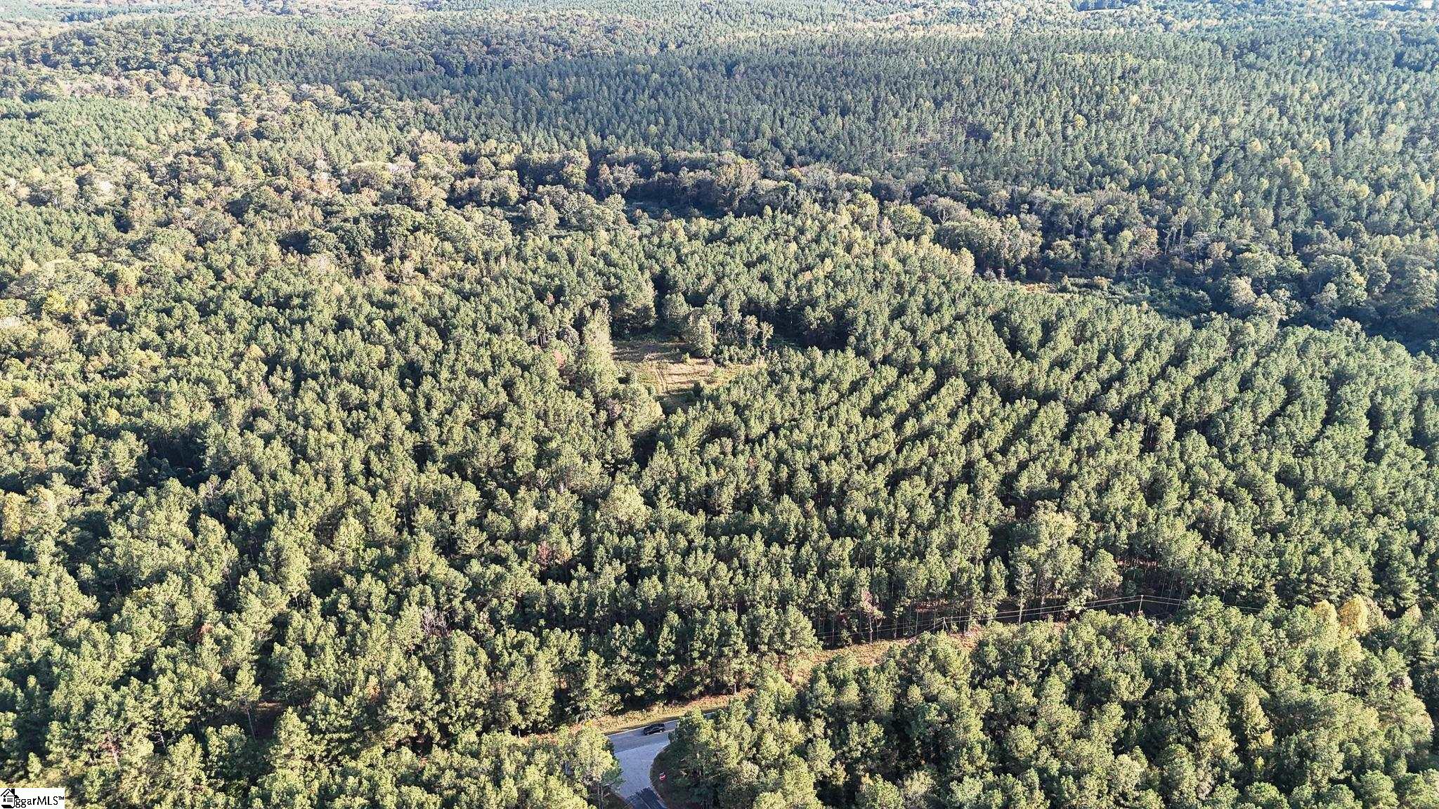 02 Jefferson Davis Road Property Photo 17