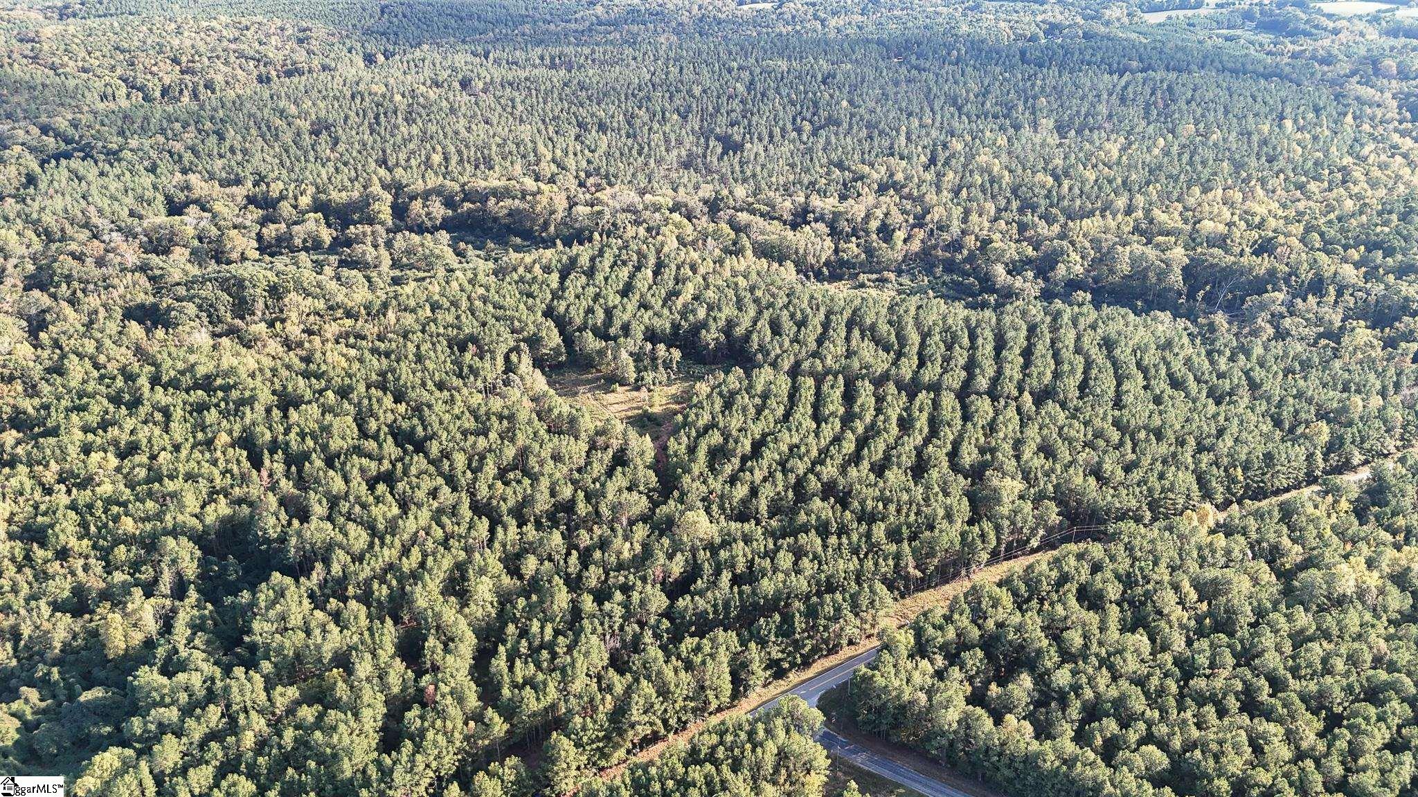 02 Jefferson Davis Road Property Photo 18