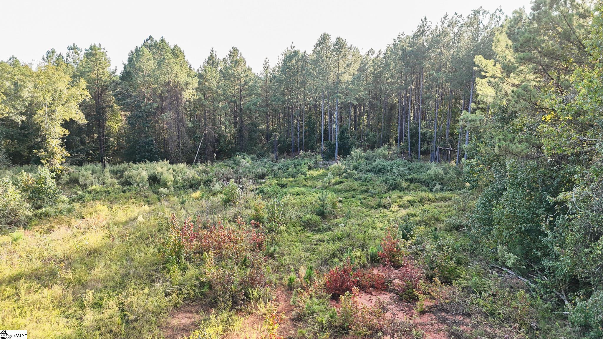 02 Jefferson Davis Road Property Photo 19