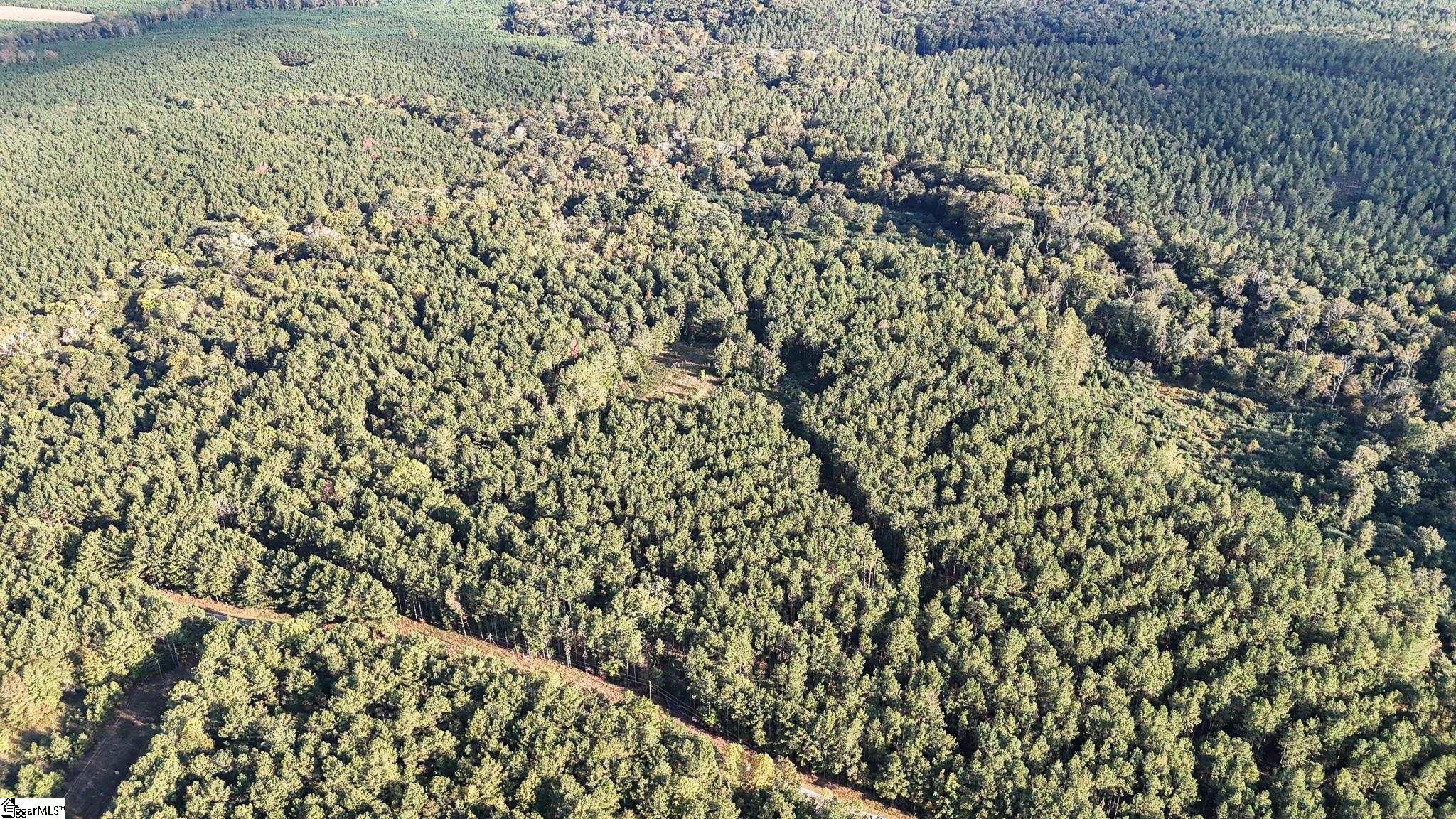 02 Jefferson Davis Road Property Photo 20