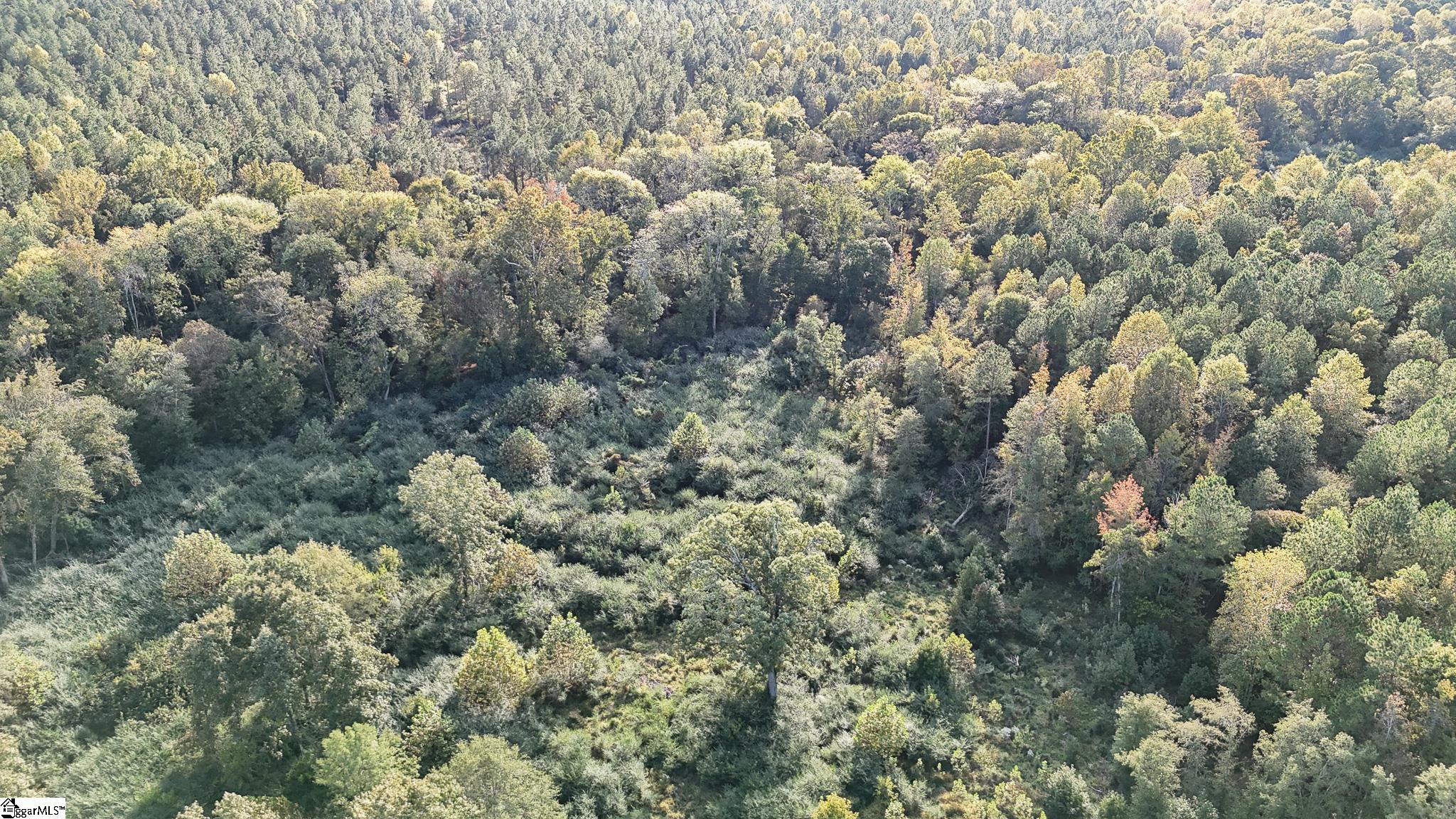 02 Jefferson Davis Road Property Photo 21