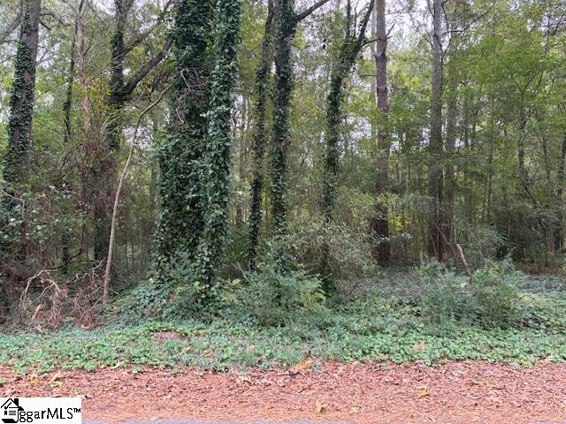 00 Dogwood Circle Property Photo 2