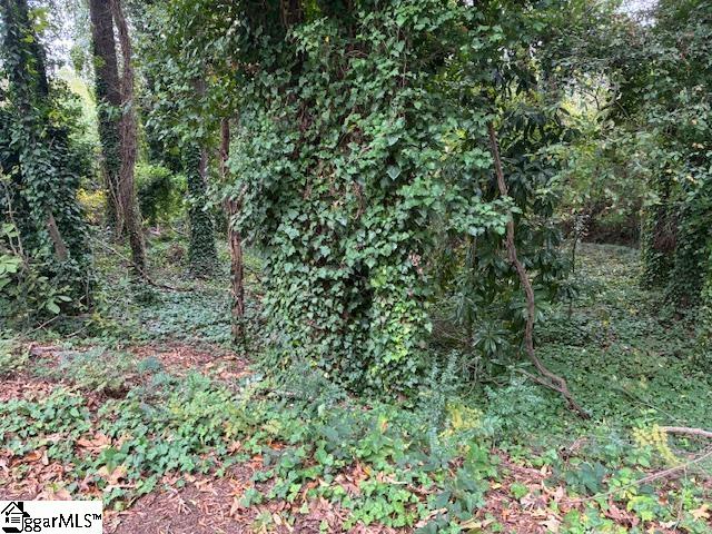 00 Dogwood Circle Property Photo 3