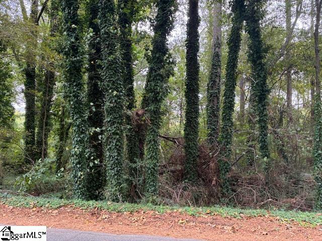 00 Dogwood Circle Property Photo 4