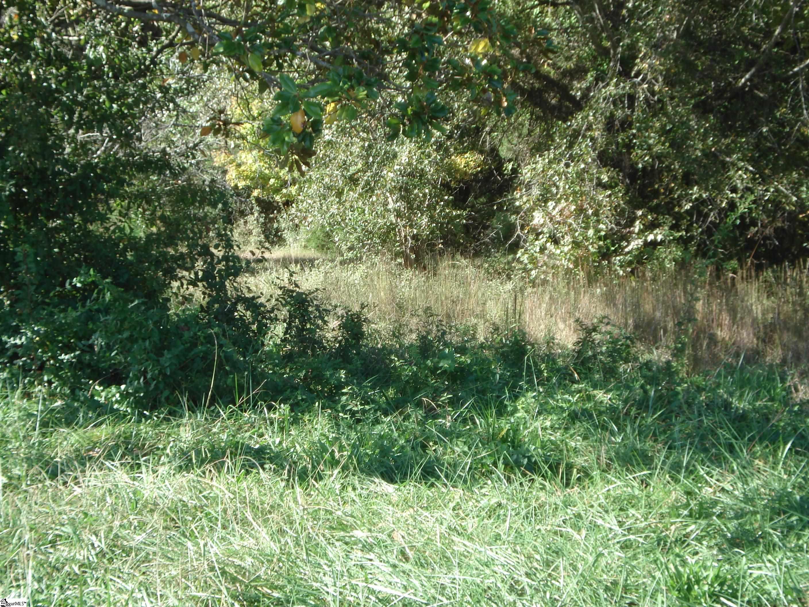5728 Reidville Road Property Photo 2