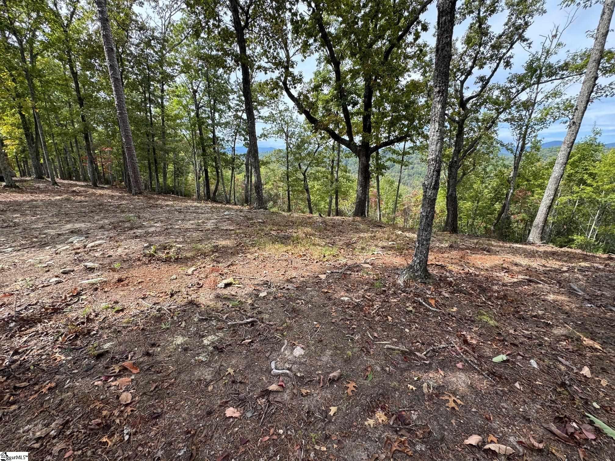 220 Blue Bonnet Trail Property Photo 1