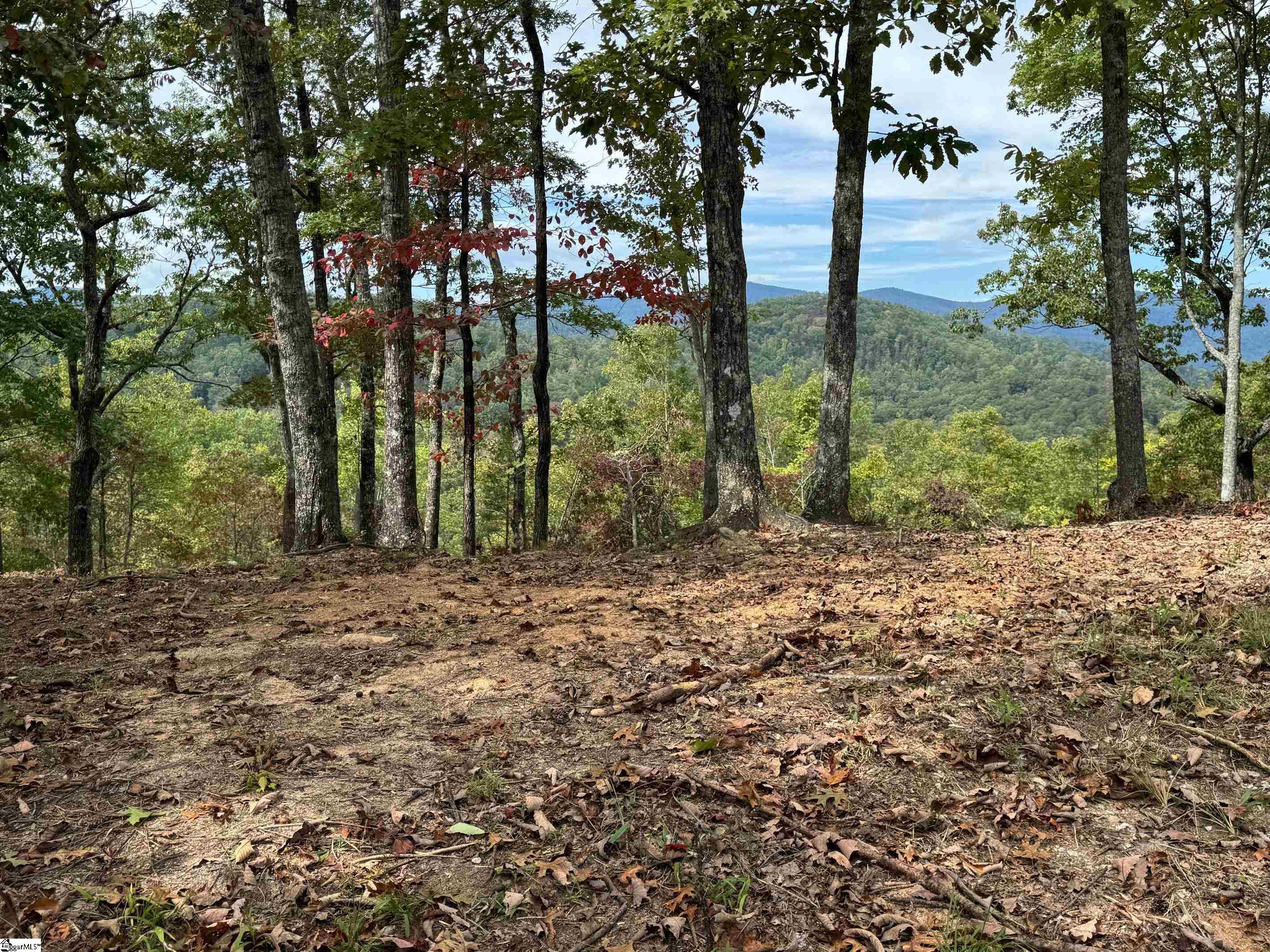 230 Blue Bonnet Trail Property Photo 1