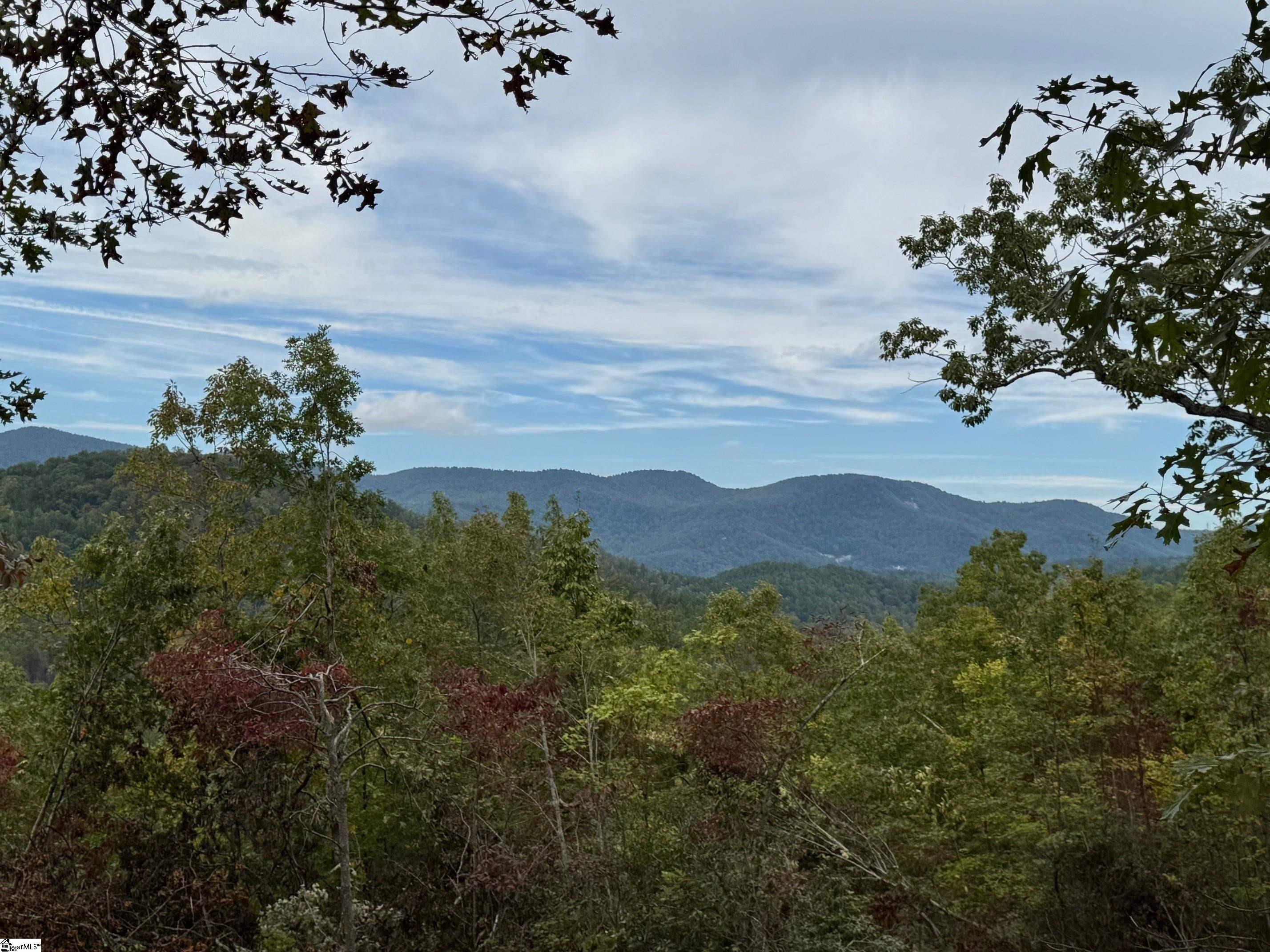 230 Blue Bonnet Trail Property Photo 2