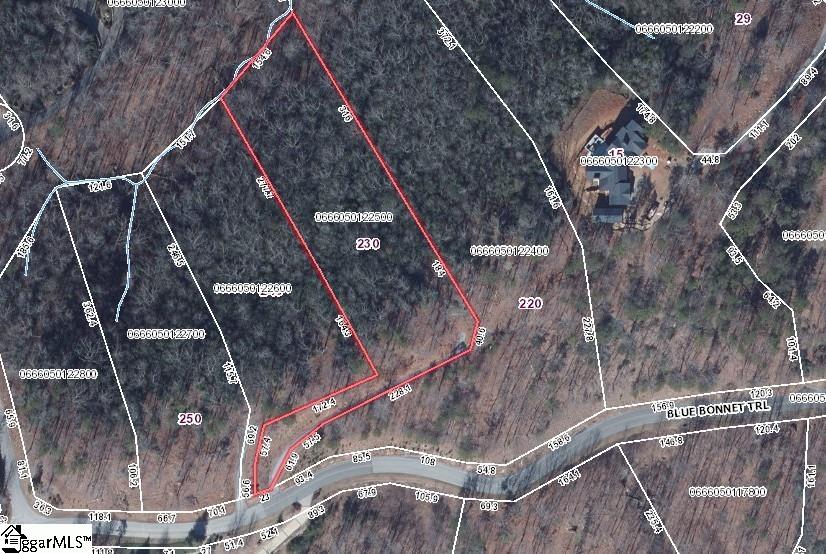 230 Blue Bonnet Trail Property Photo 4